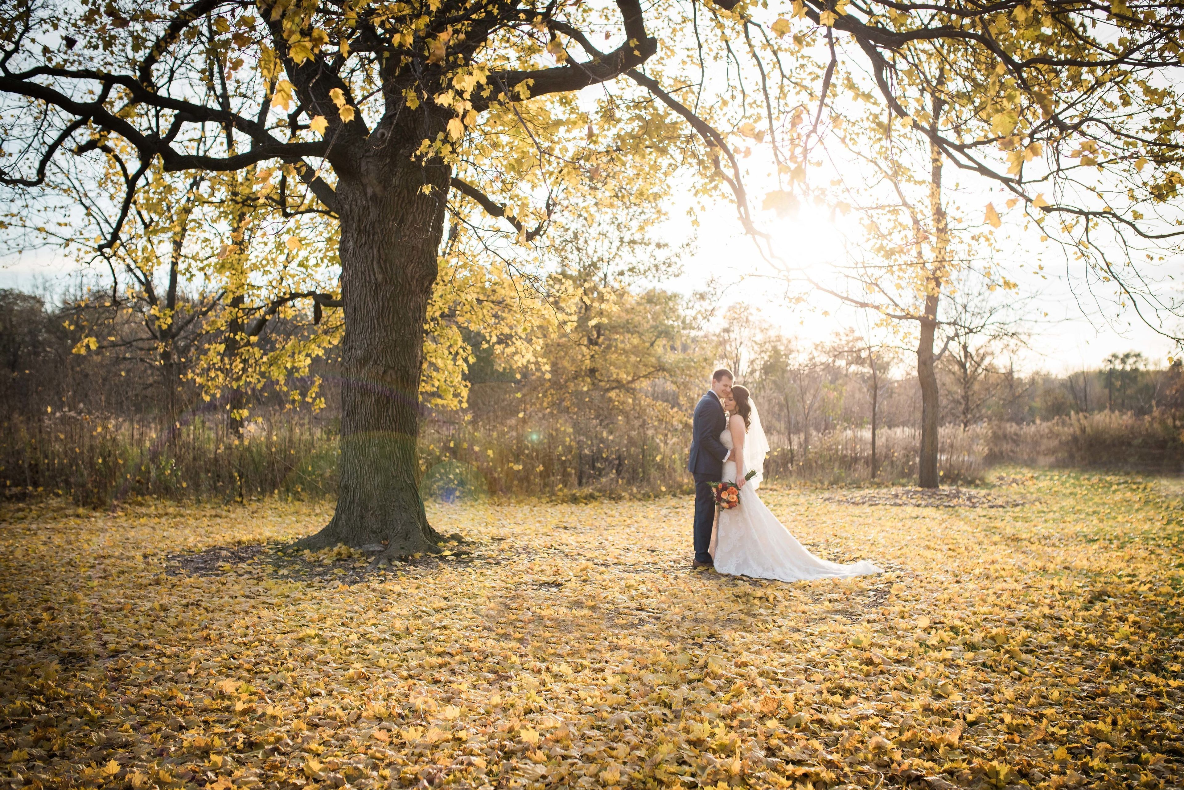 Cover photo of Inspired Eye Photography