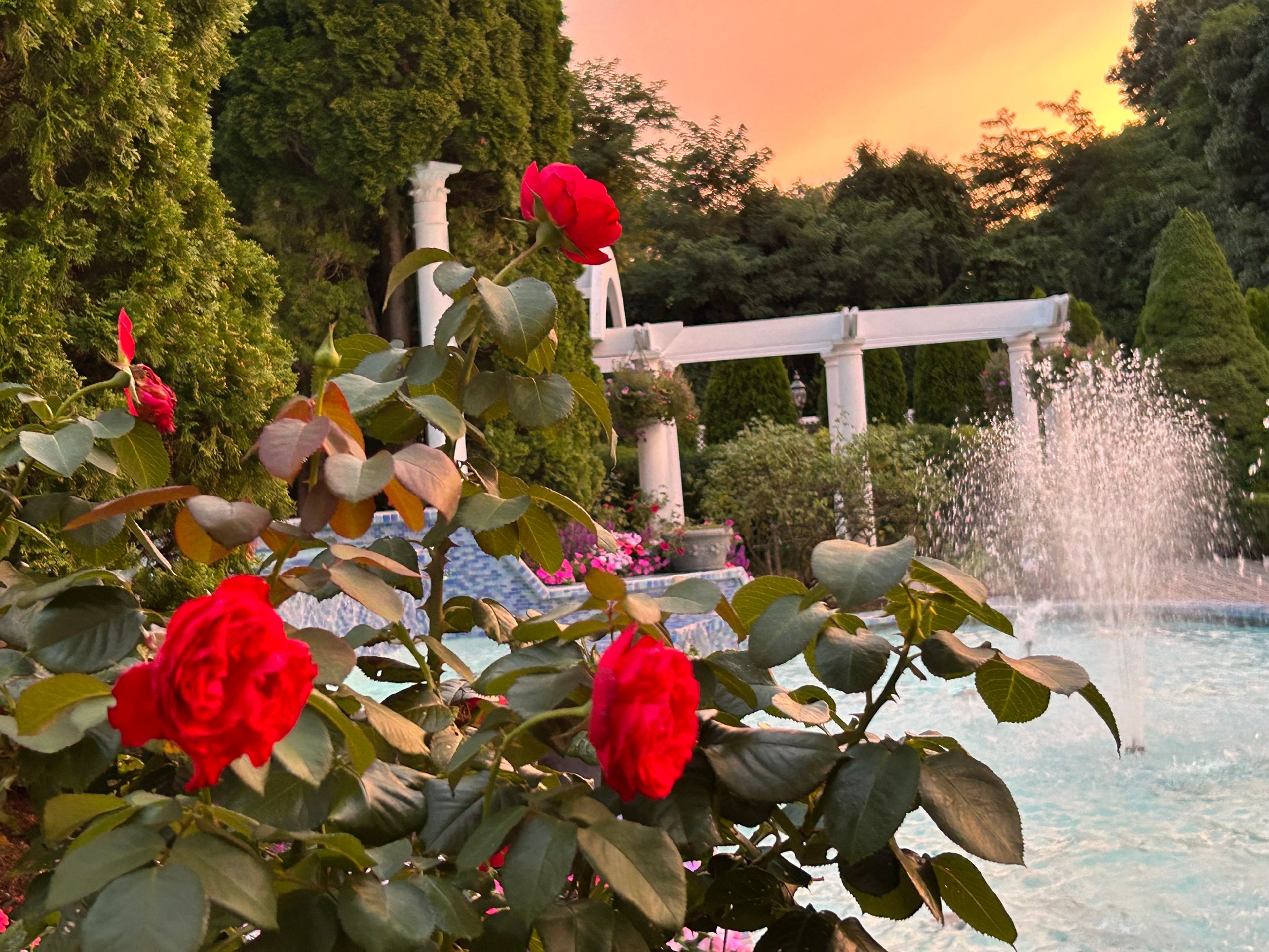 Cover photo of Sarah Lafata Events