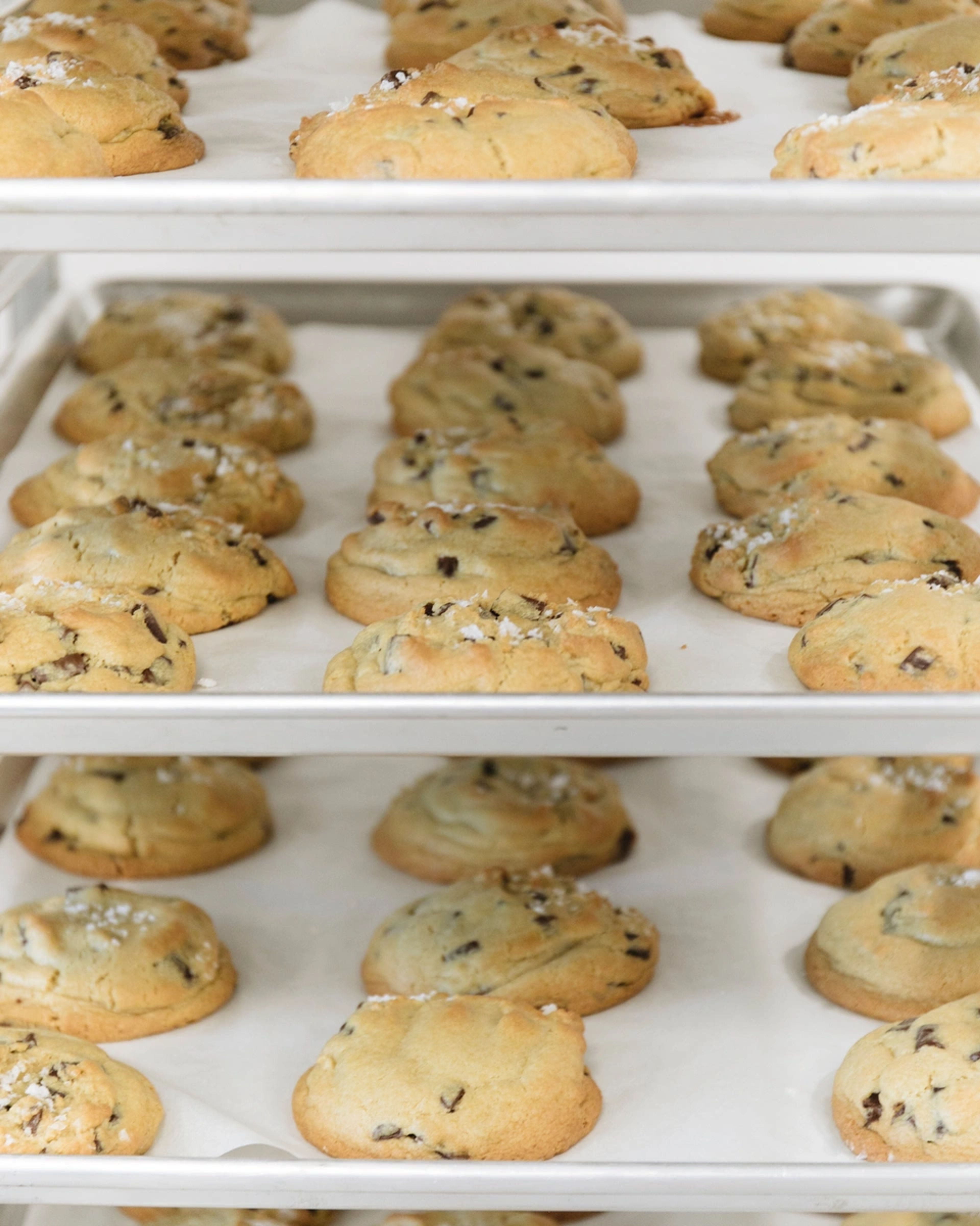 Cover photo of Chip Cookies