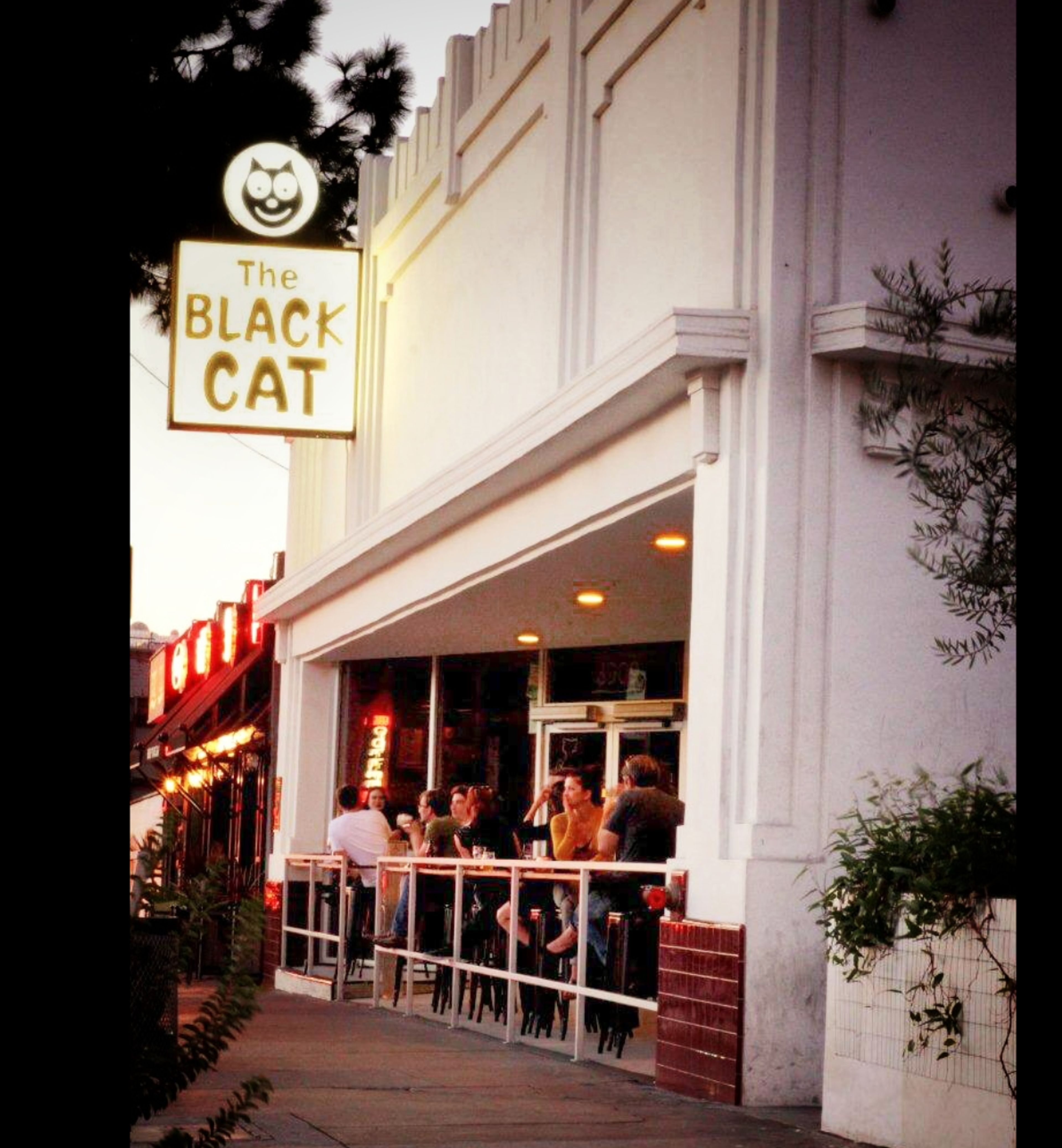 Cover photo of The Black Cat