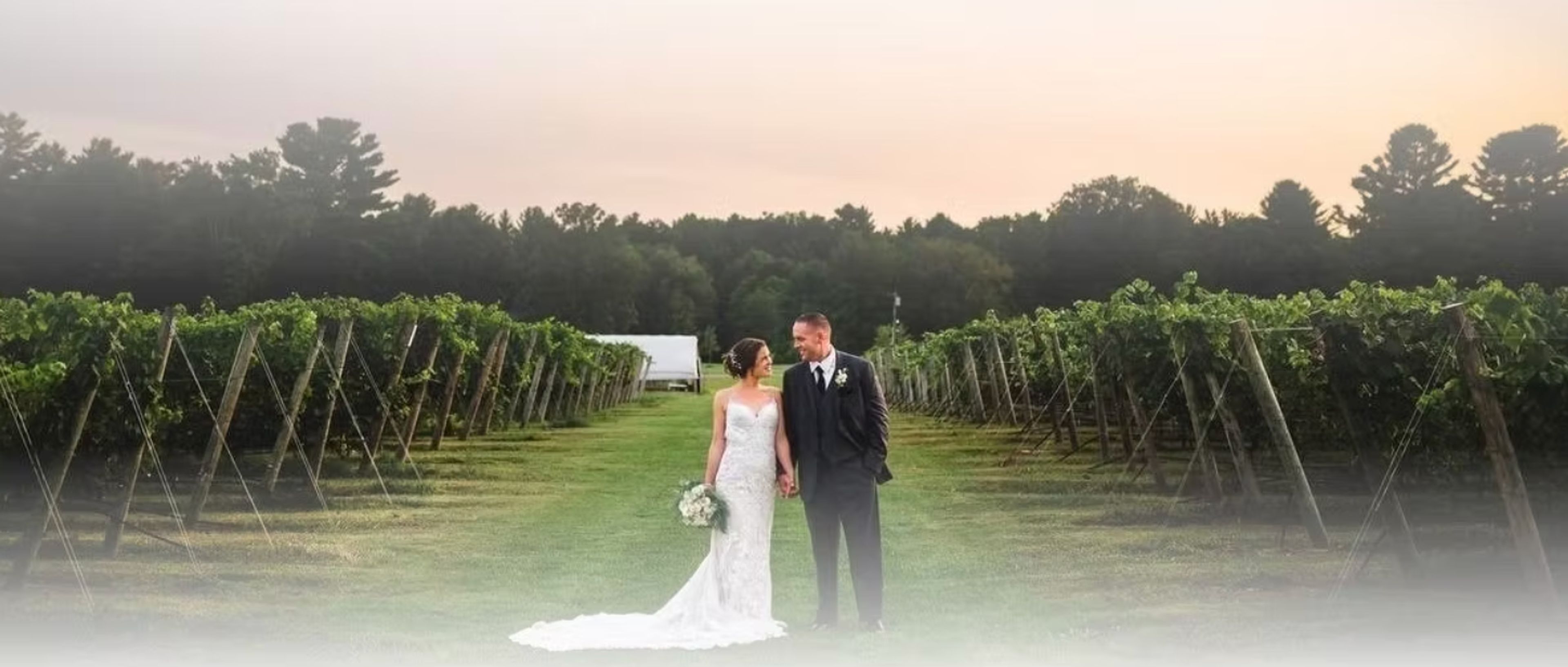 Cover photo of Flag Hill Distillery & Winery