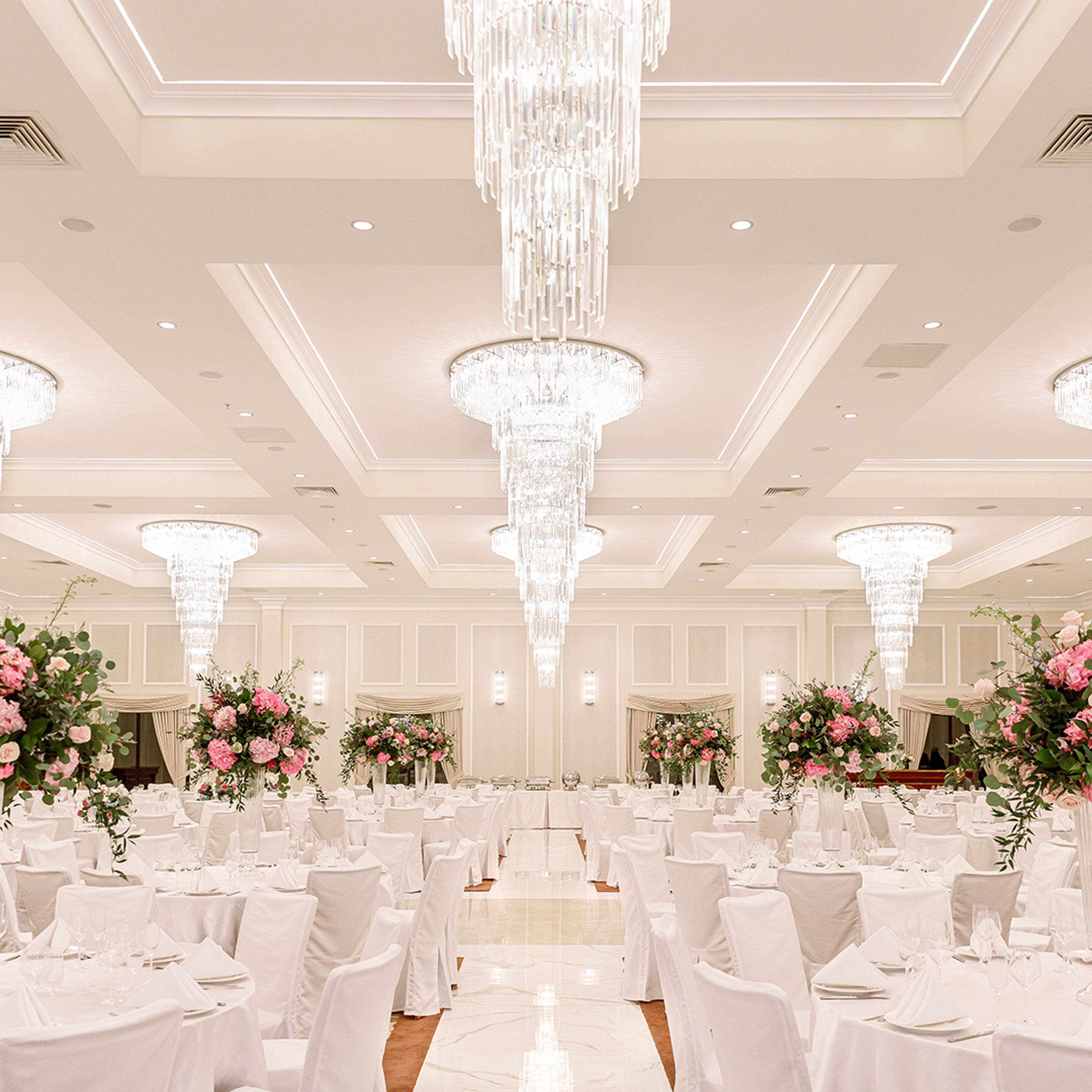 Cover photo of The Ashi