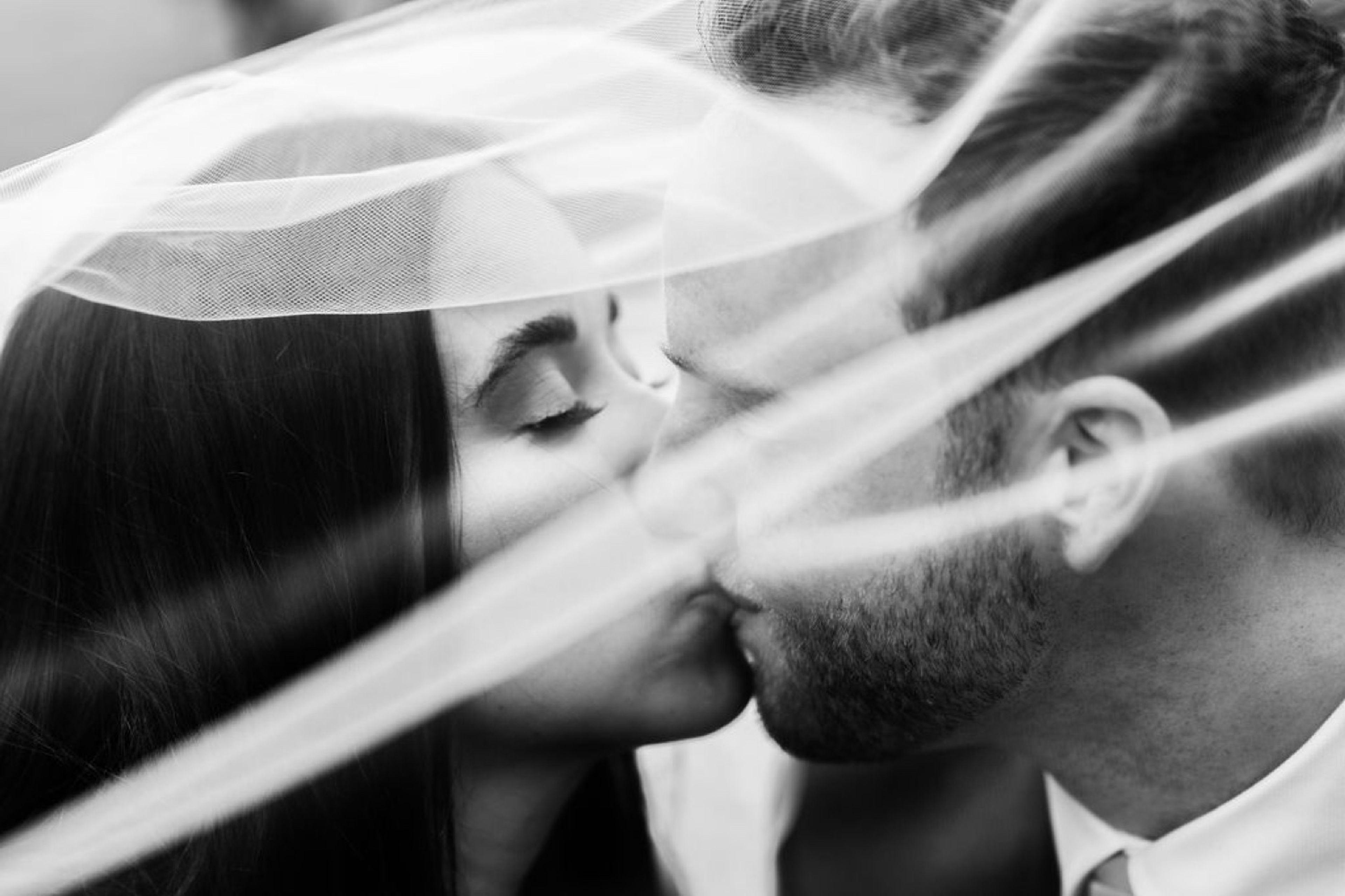 Cover photo of Cinder and Co.