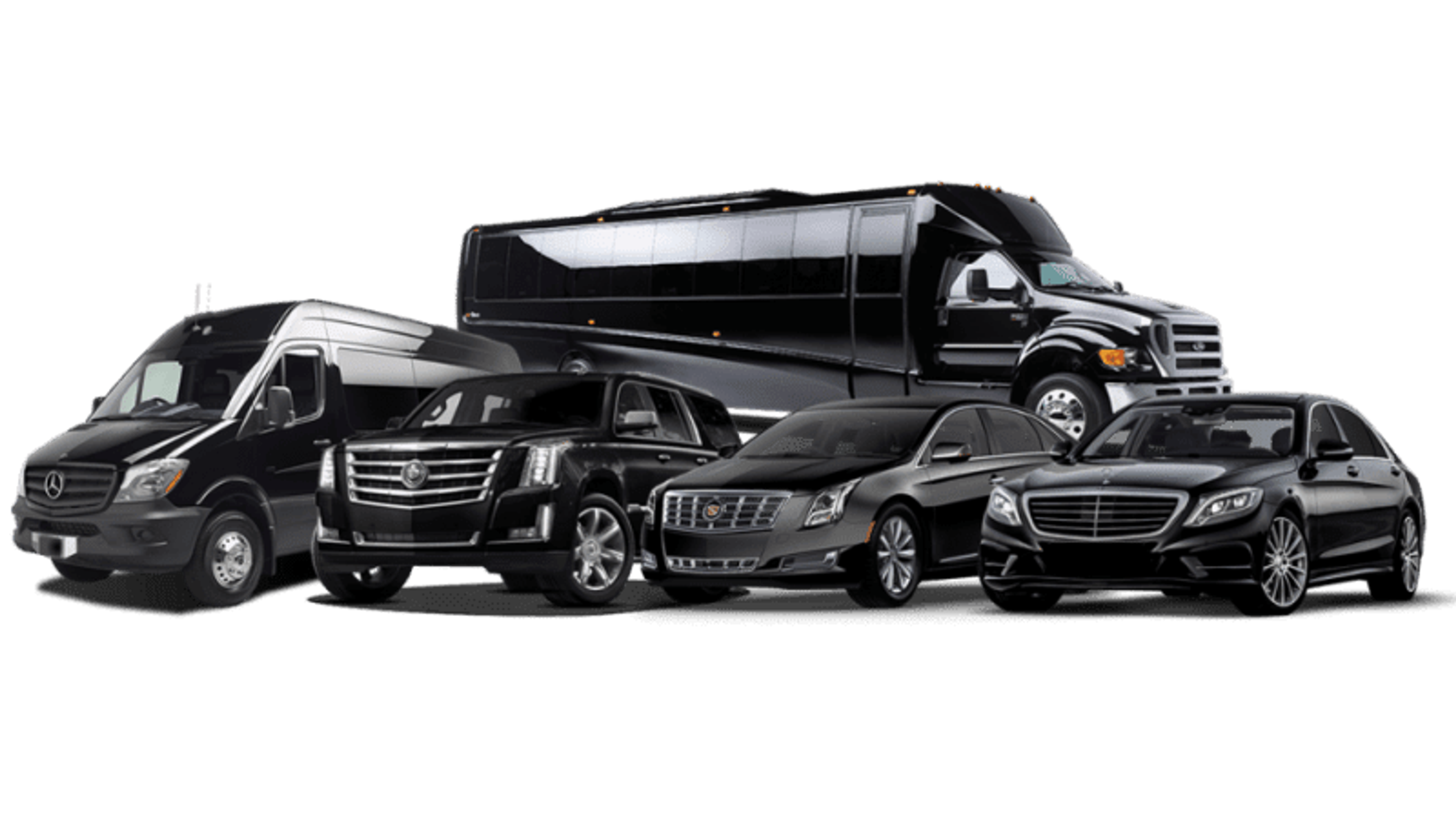 Cover photo of exoticlimobus.com