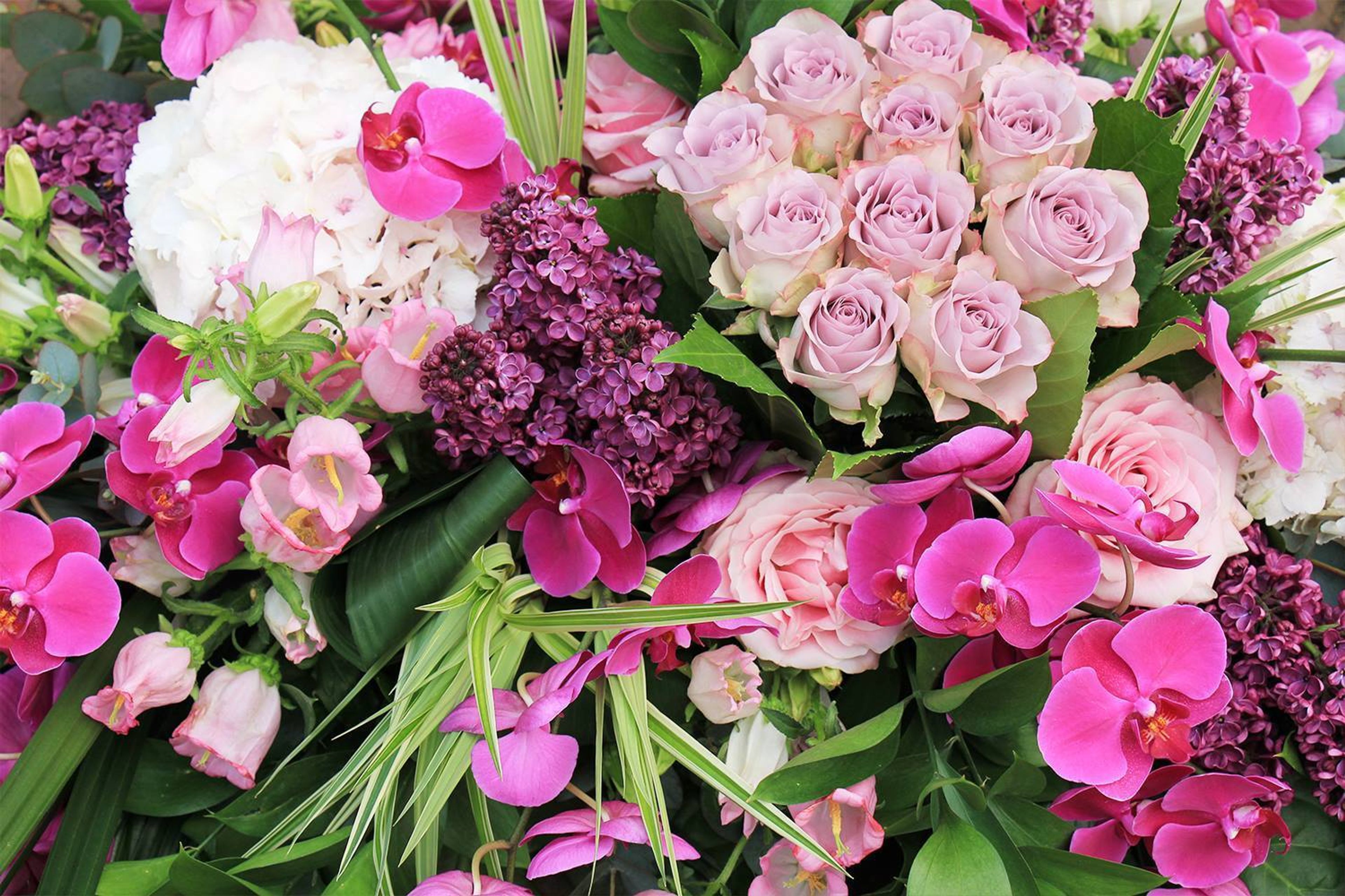 Cover photo of LA Premier Florist
