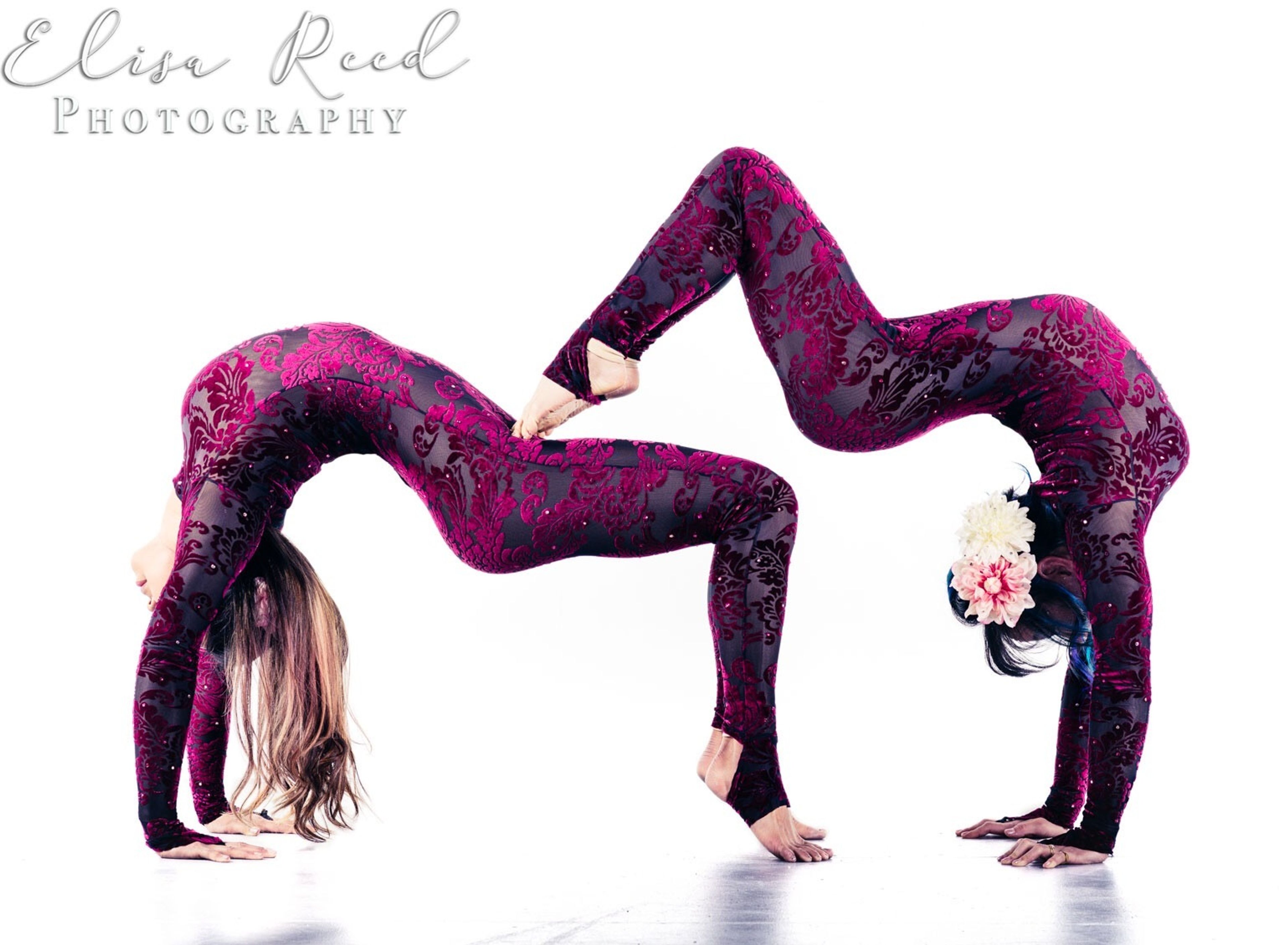 Cover photo of The Dahlias Exquisite Acrobatics