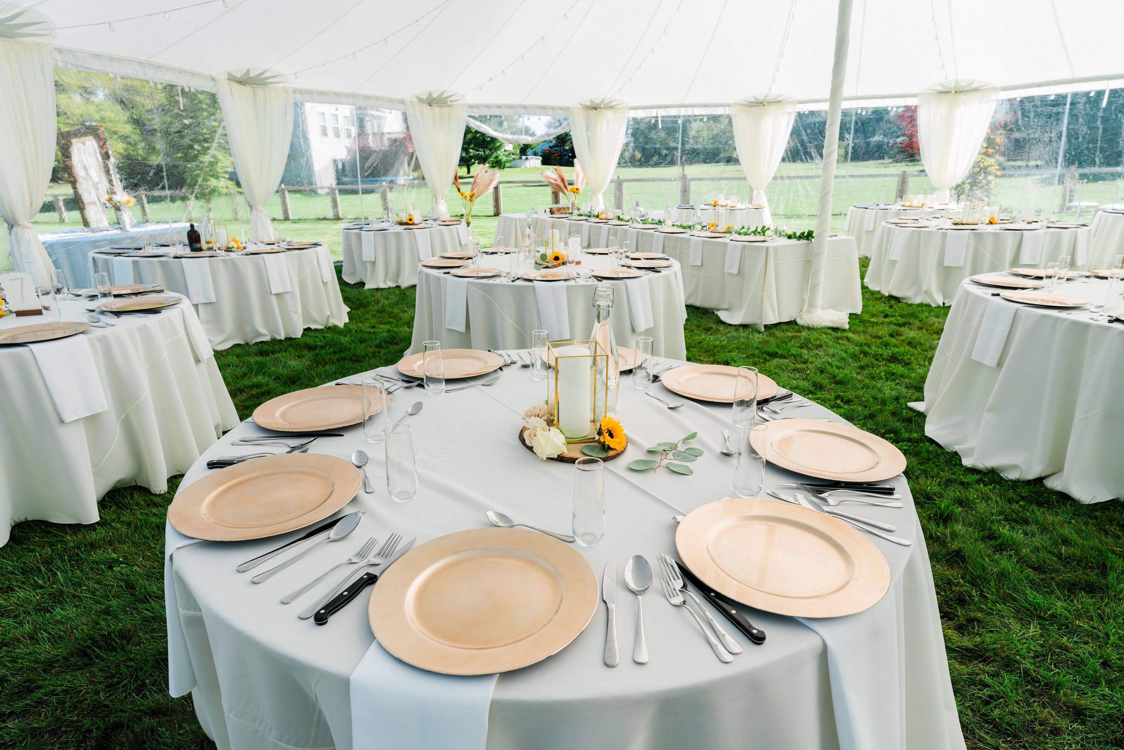 Cover photo of Leave it to Meeka