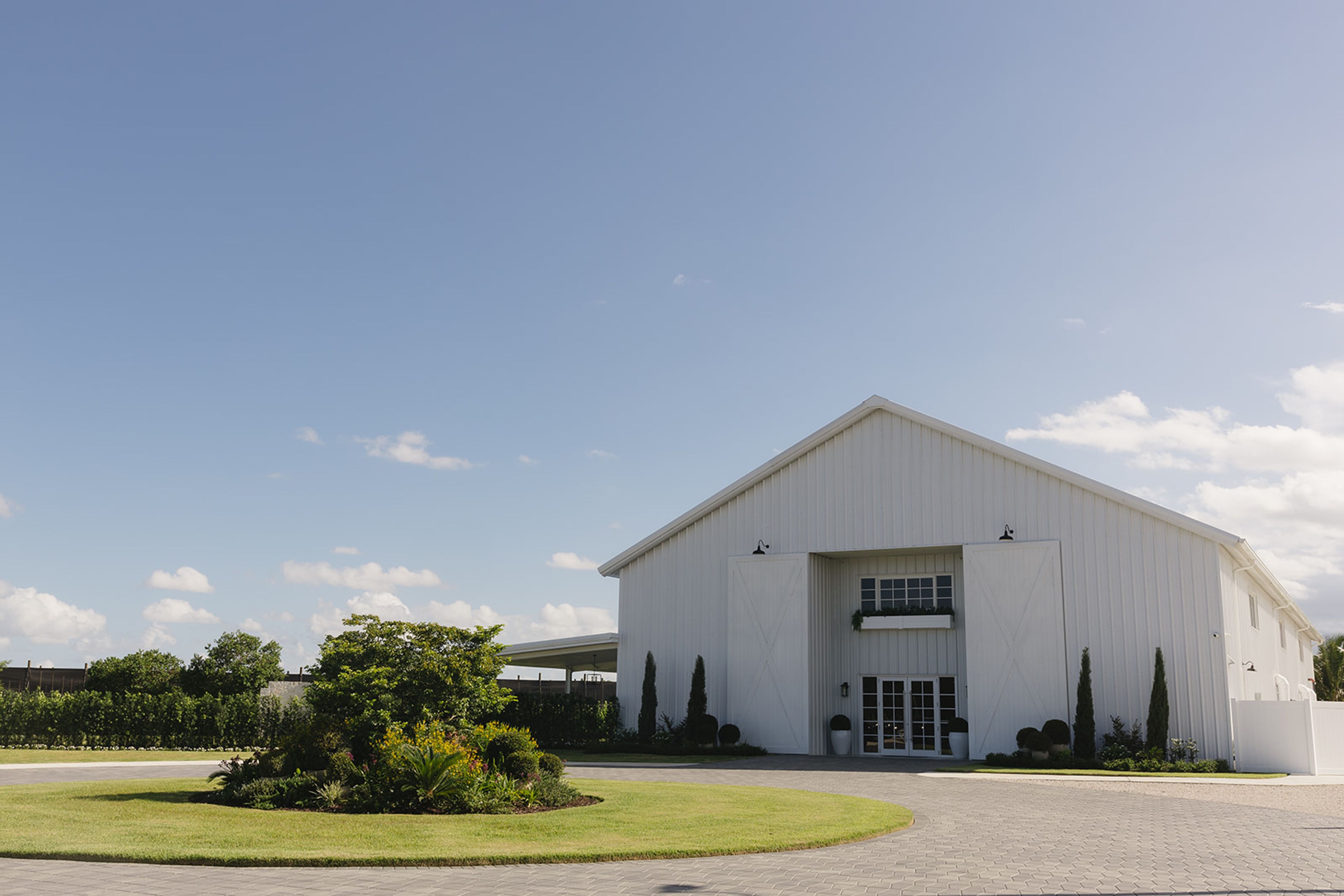 Cover photo of The White Orchid