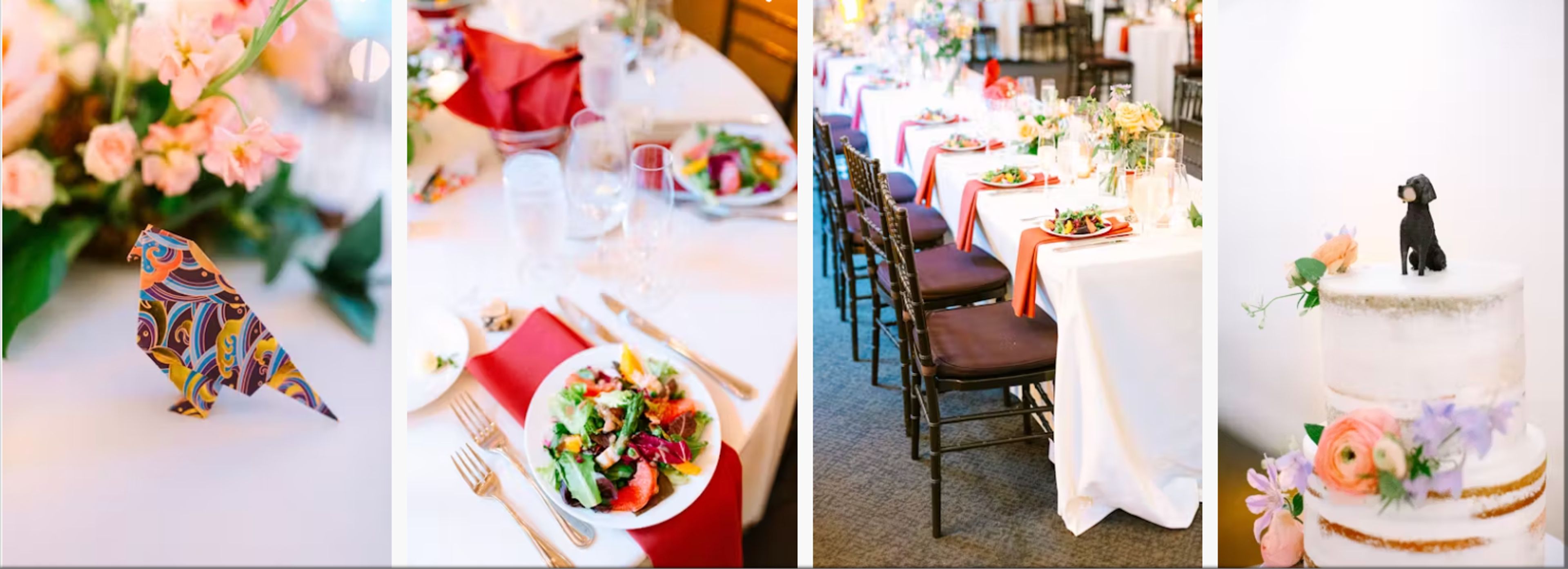 Cover photo of Socialite by Design