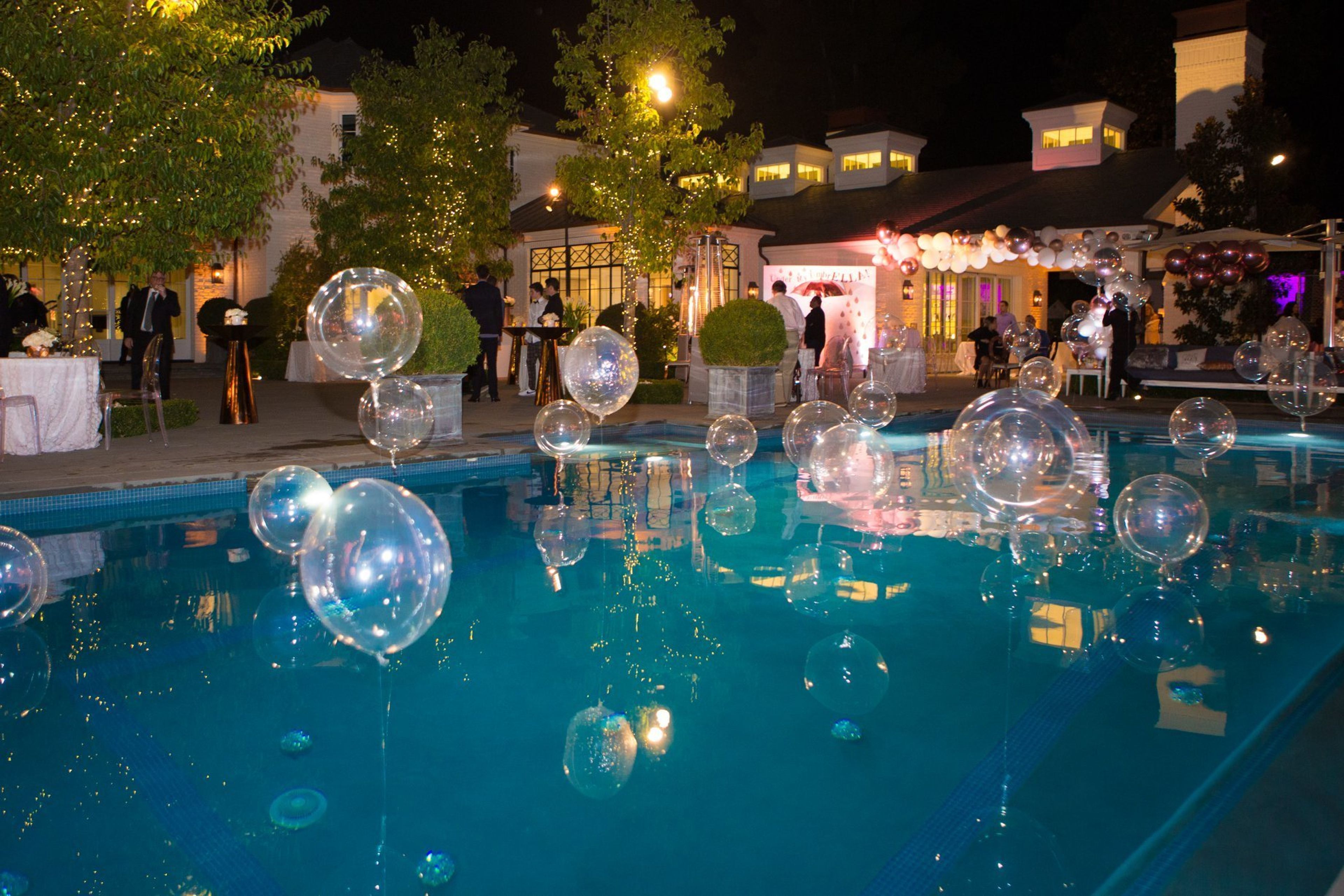 Cover photo of Suzanne Landis Photography