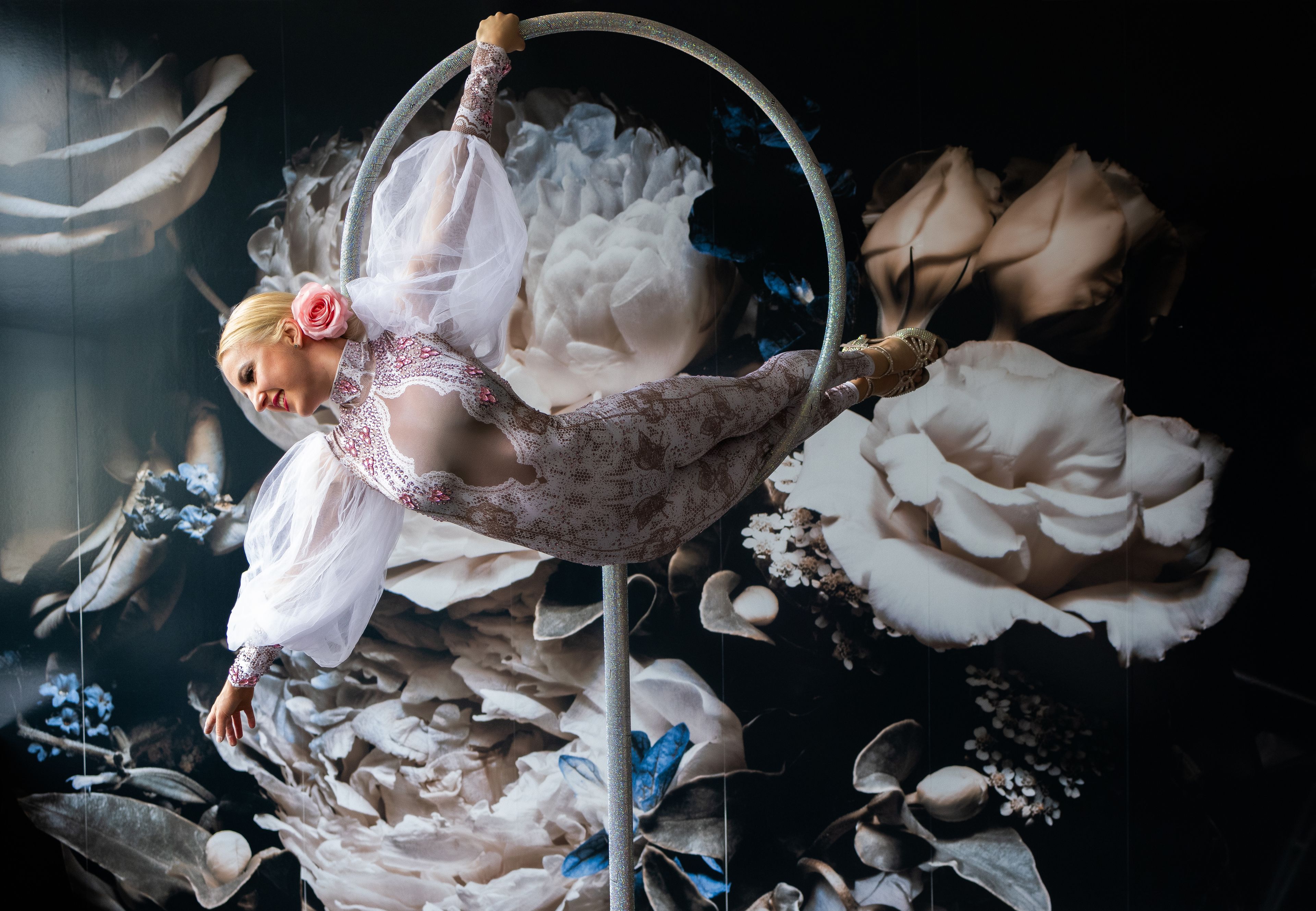 Cover photo of Ring Entertainment, dance and aerial shows, immersive experience