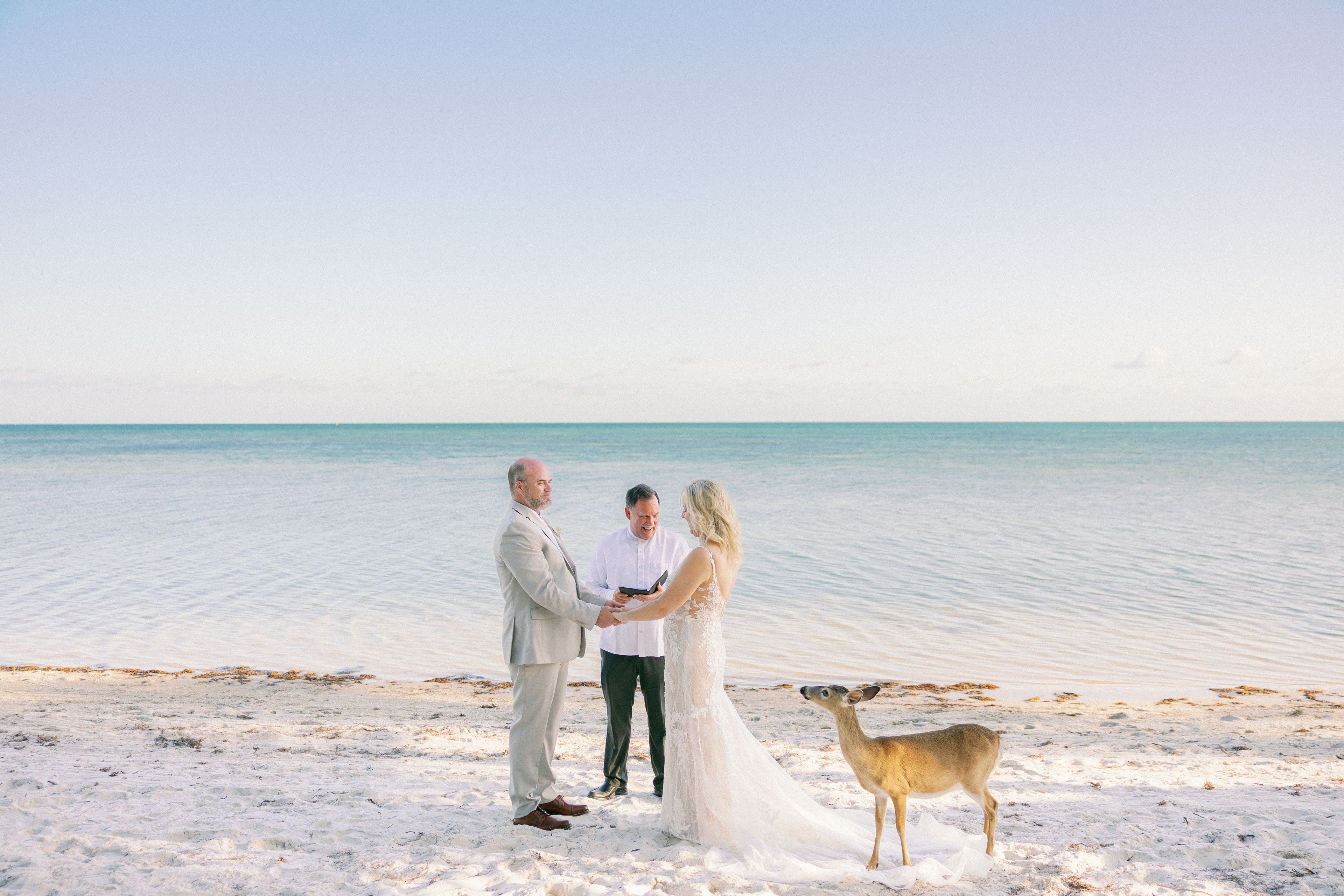 Cover photo of Little Palm Island Resort & Spa