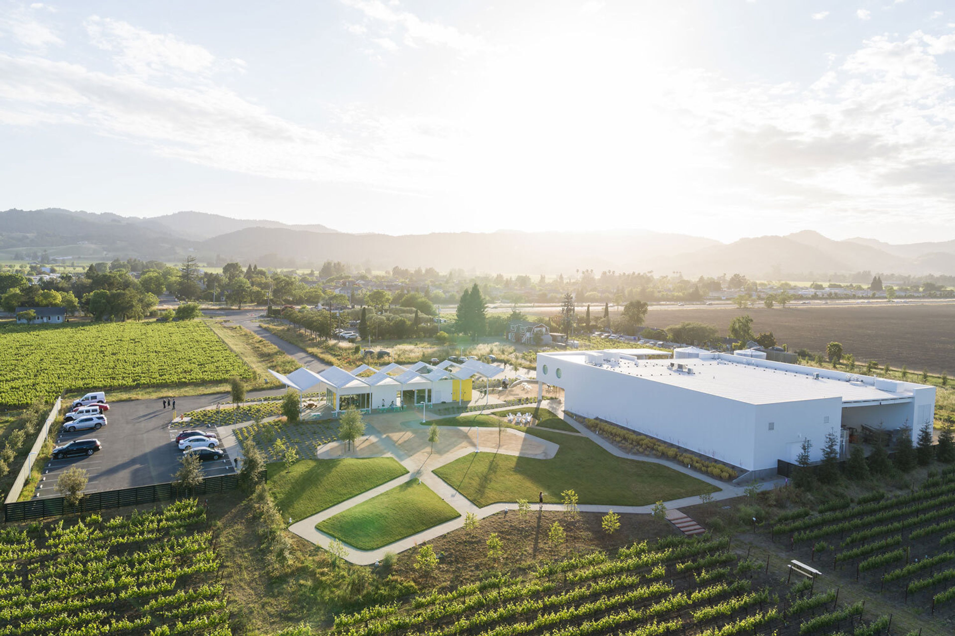 Cover photo of Ashes and Diamonds Winery