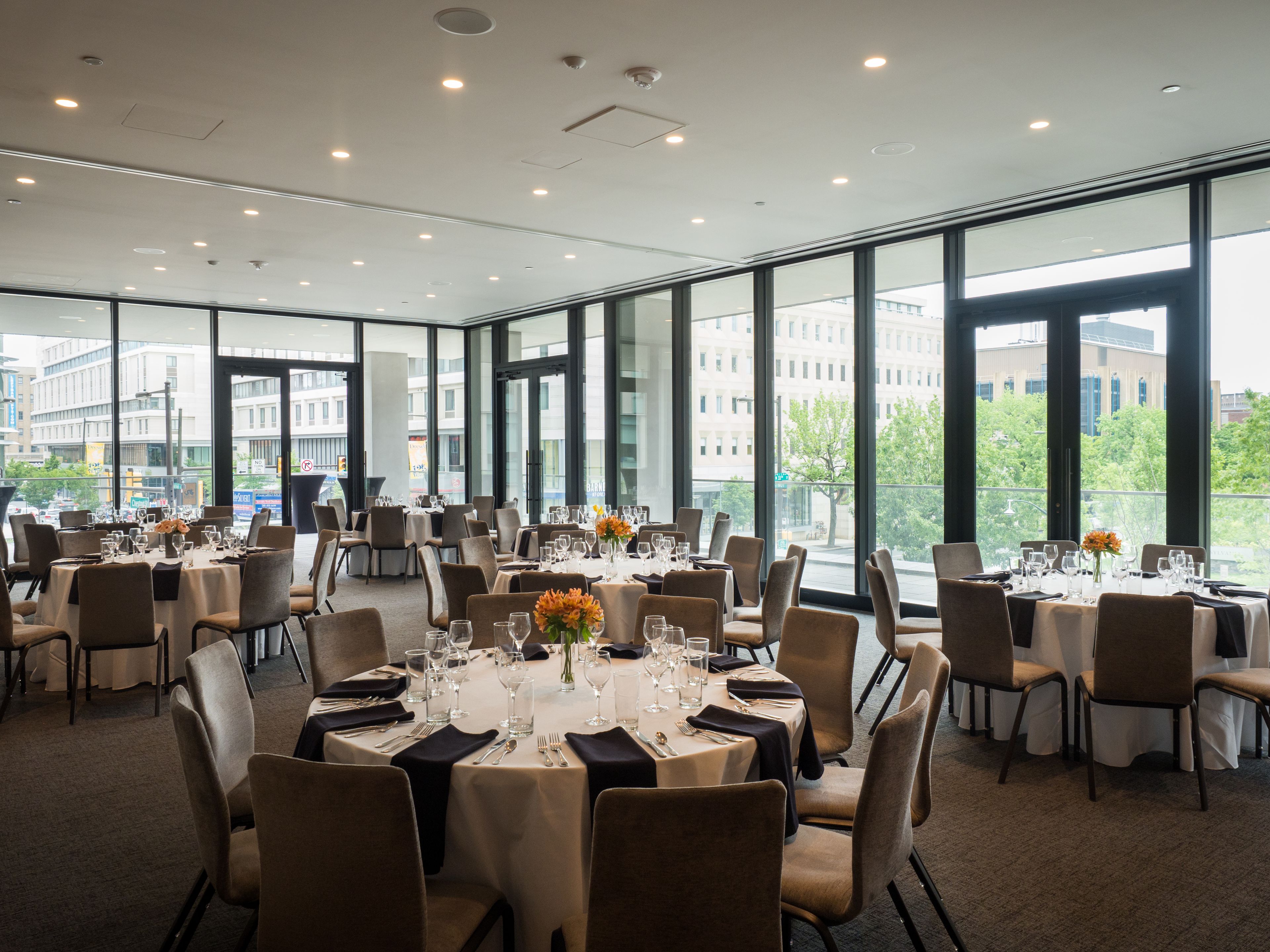 Cover photo of The Study at University City