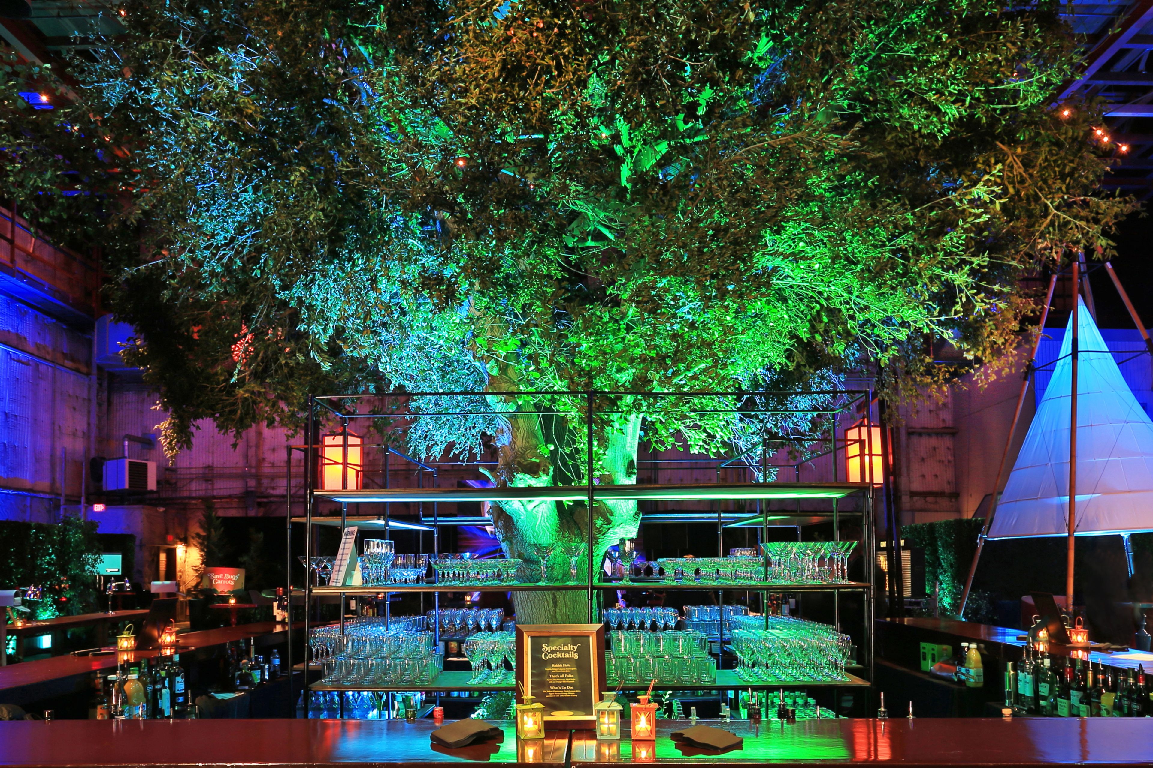 Cover photo of Green Set