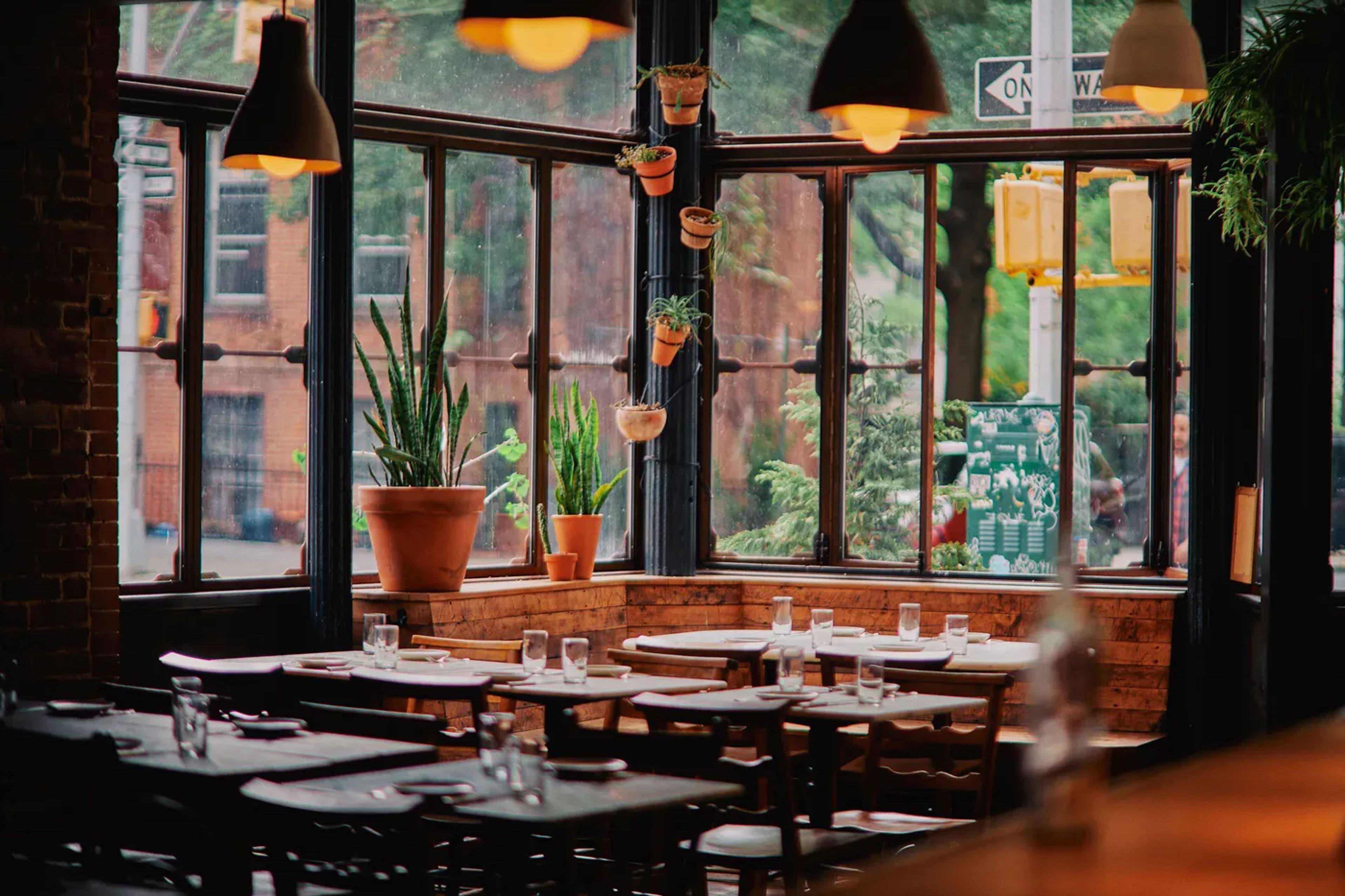 Cover photo of Rhodora