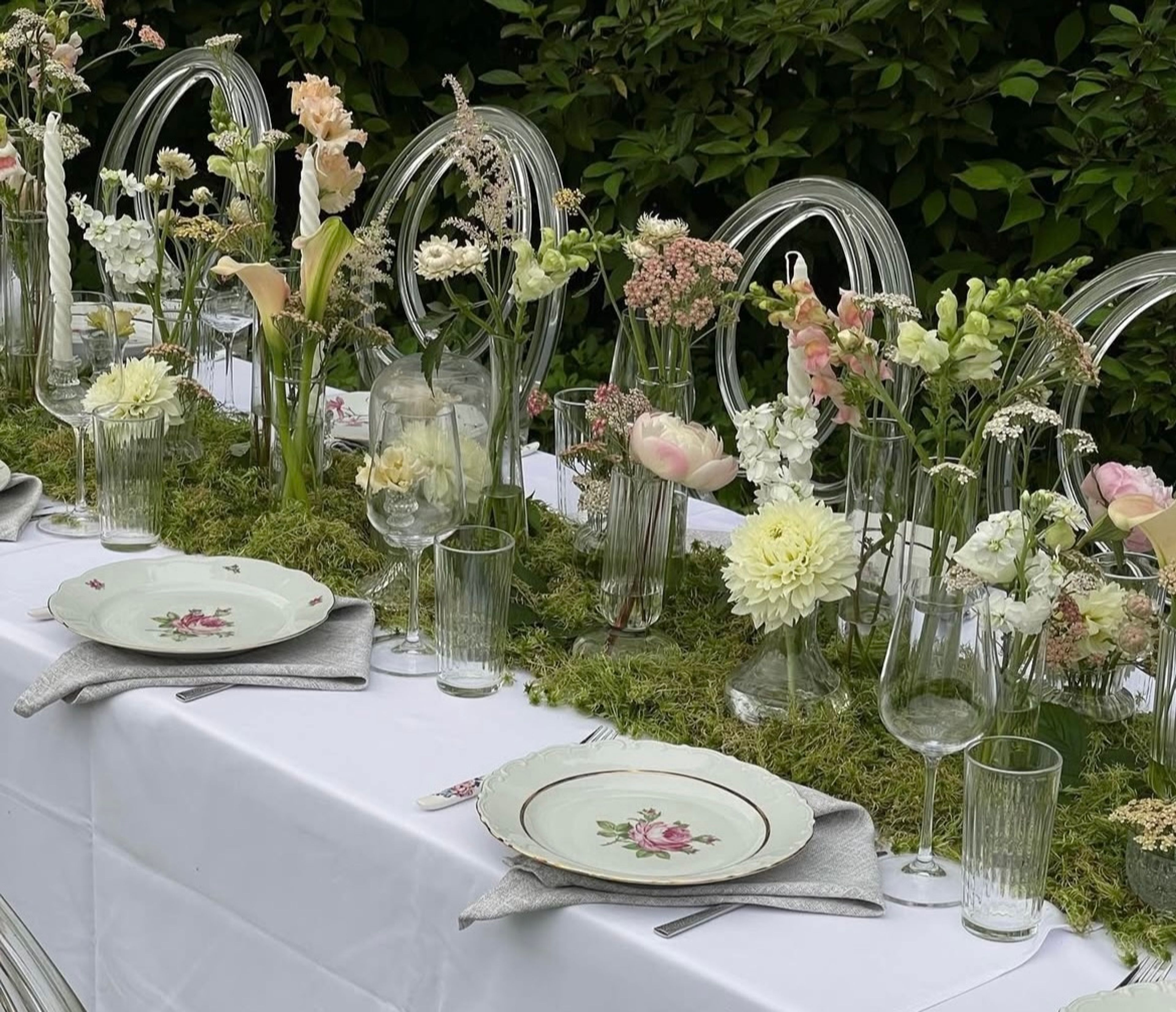 Cover photo of botanic girls