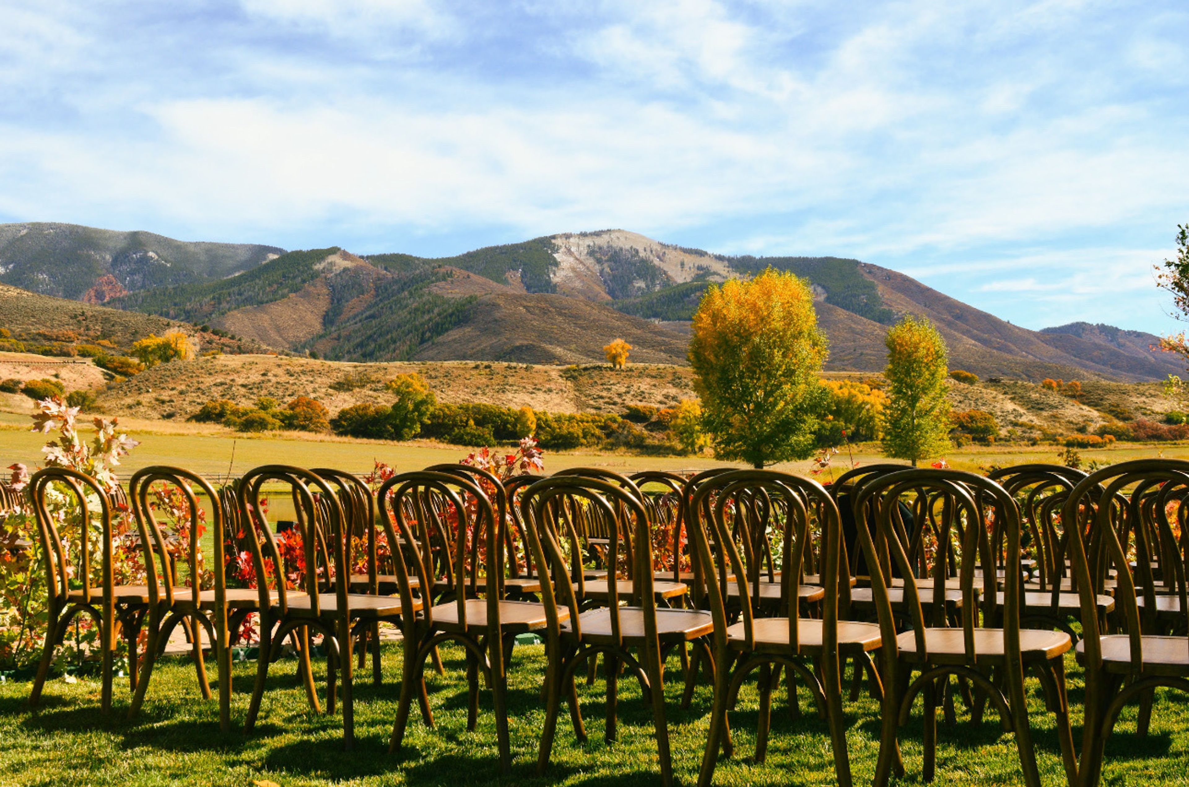 Cover photo of Charming Chairs