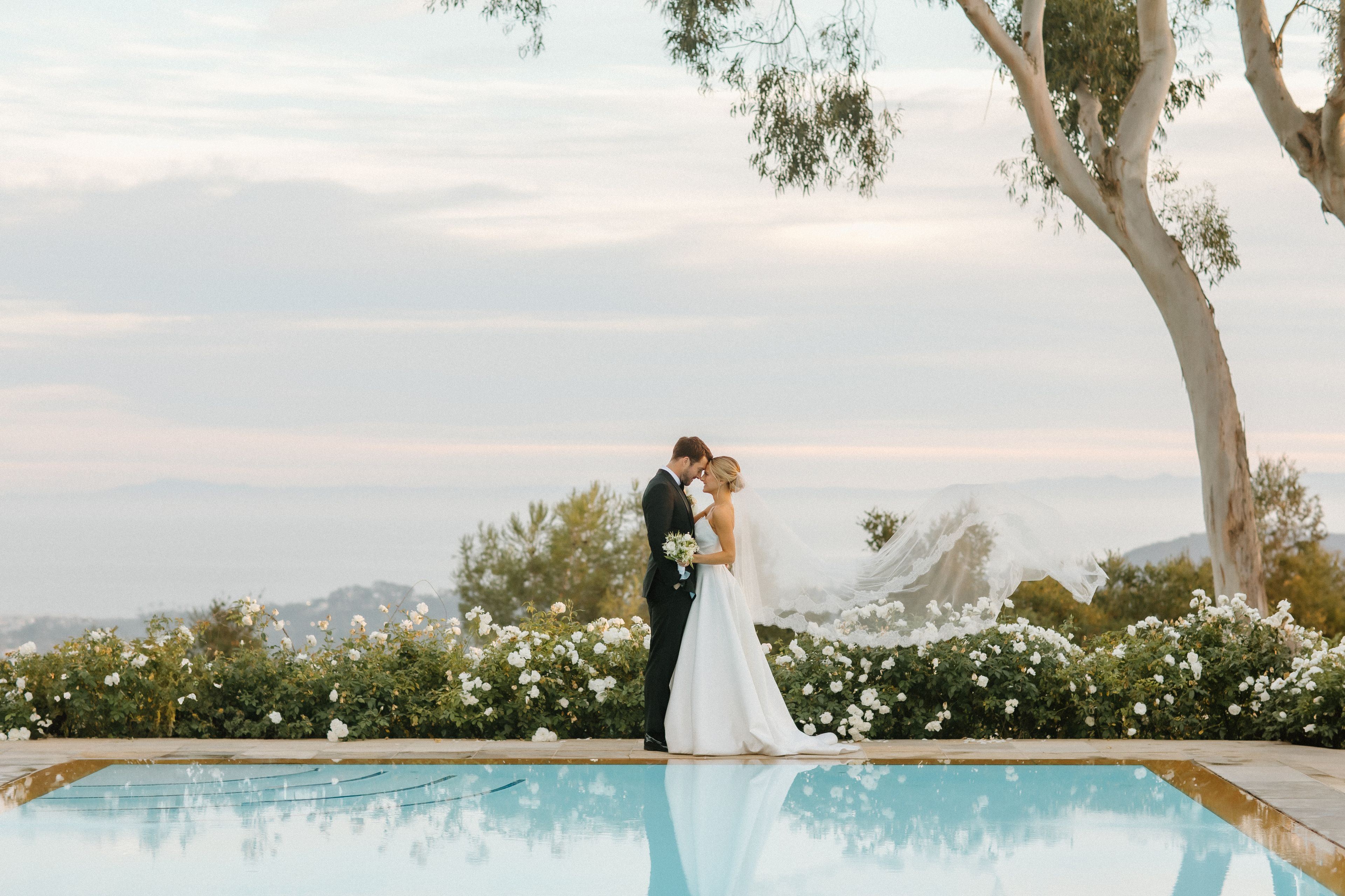 Cover photo of Kelly McDaniel Photography