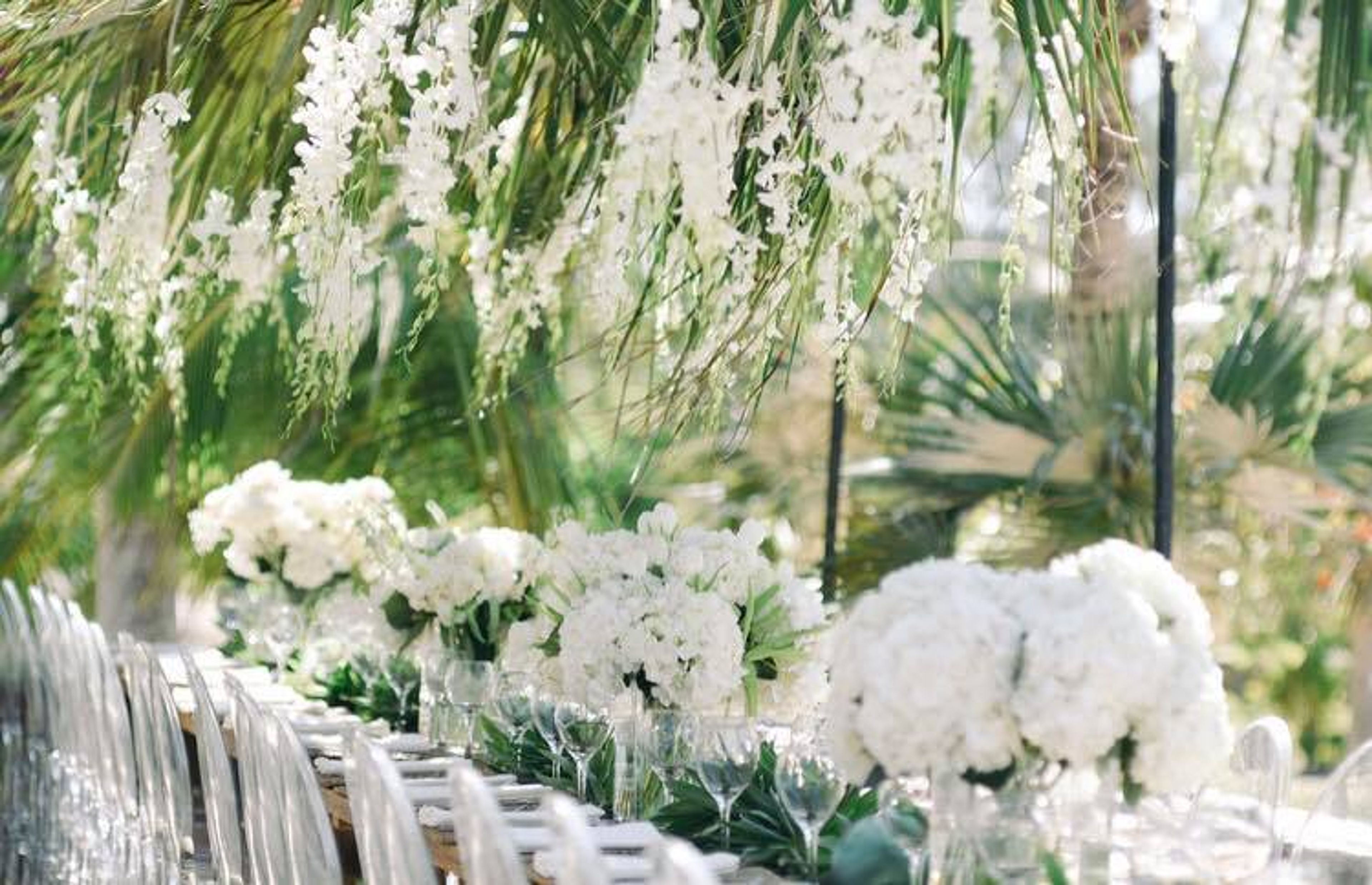 Cover photo of Boy Meets Girl Weddings