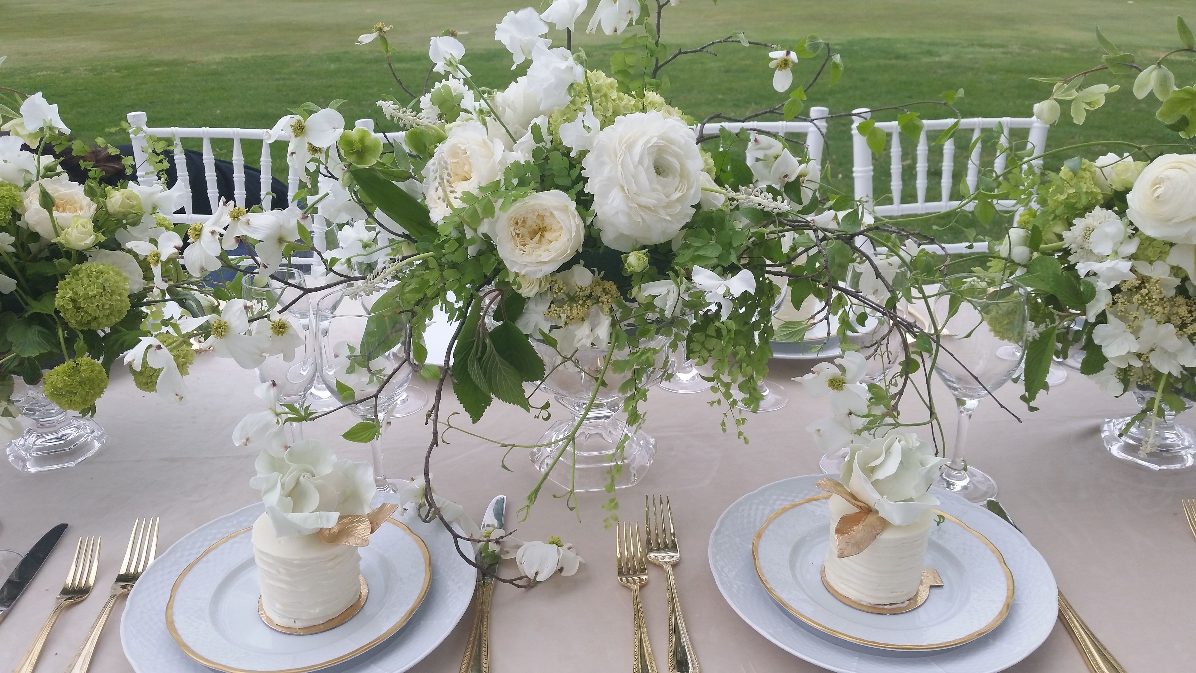 Cover photo of Petals and Promises