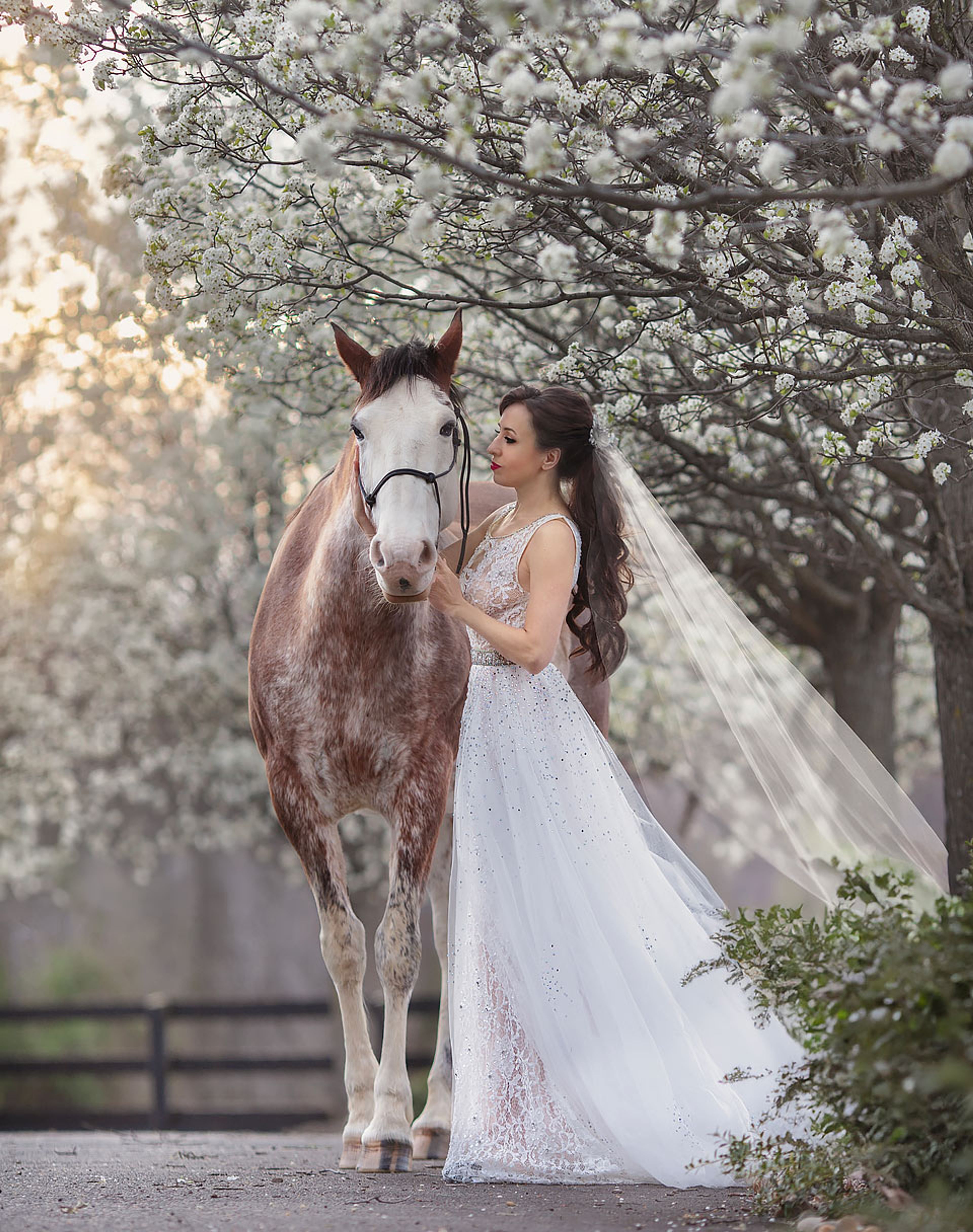 Cover photo of Weddings and Events by Stafford Stables