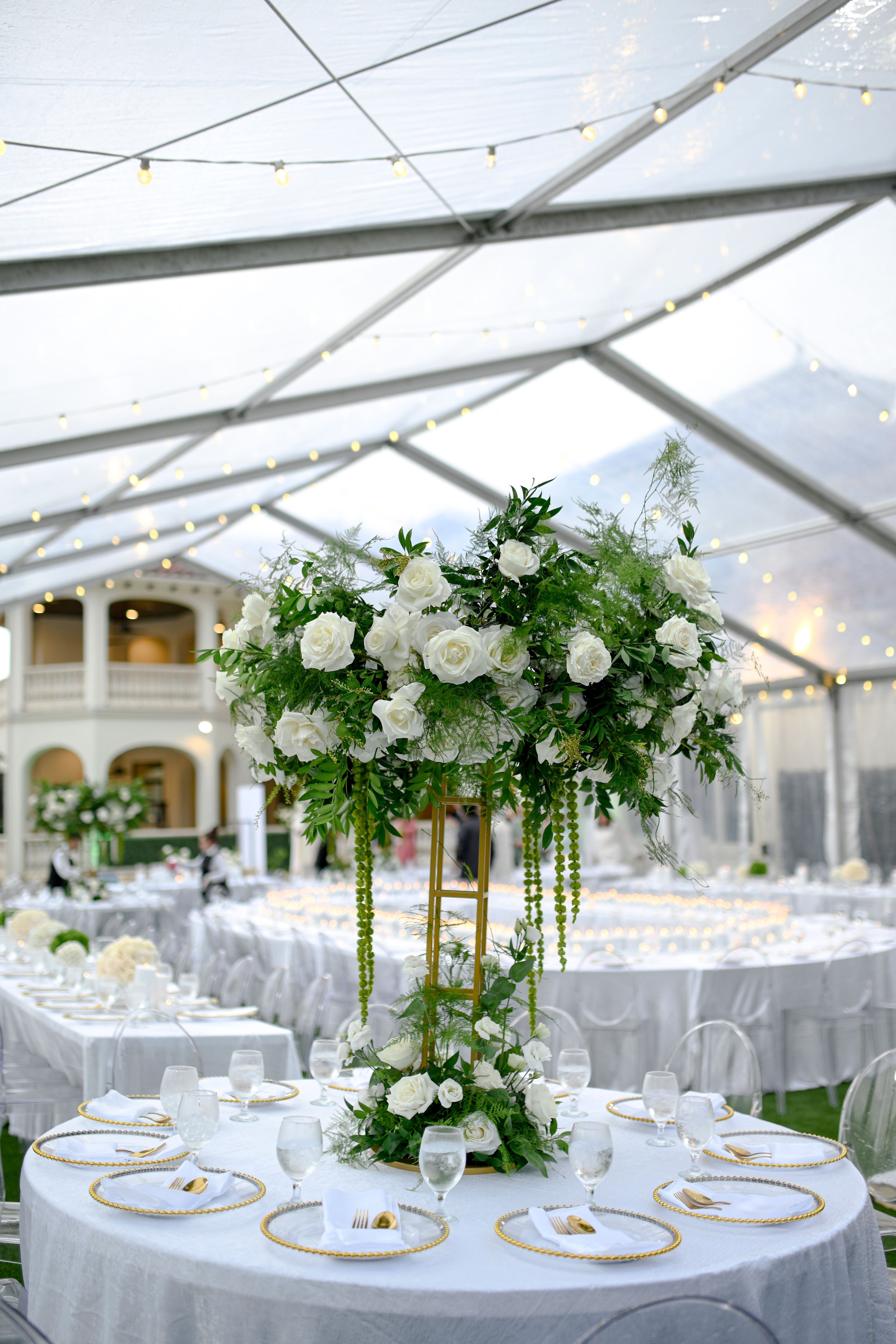 Cover photo of Beyond Bloems