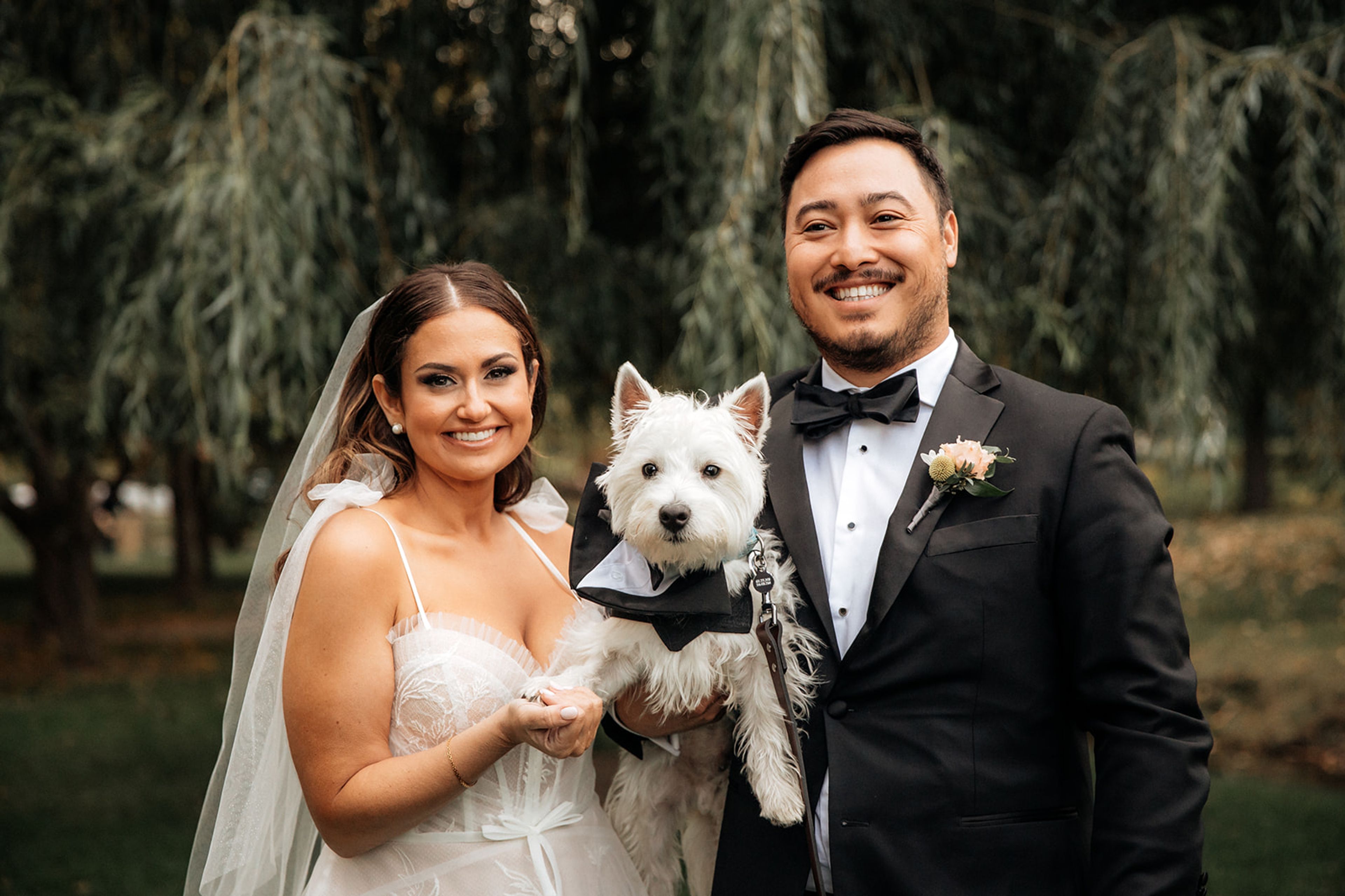 Cover photo of Pawfect for You, Inc.