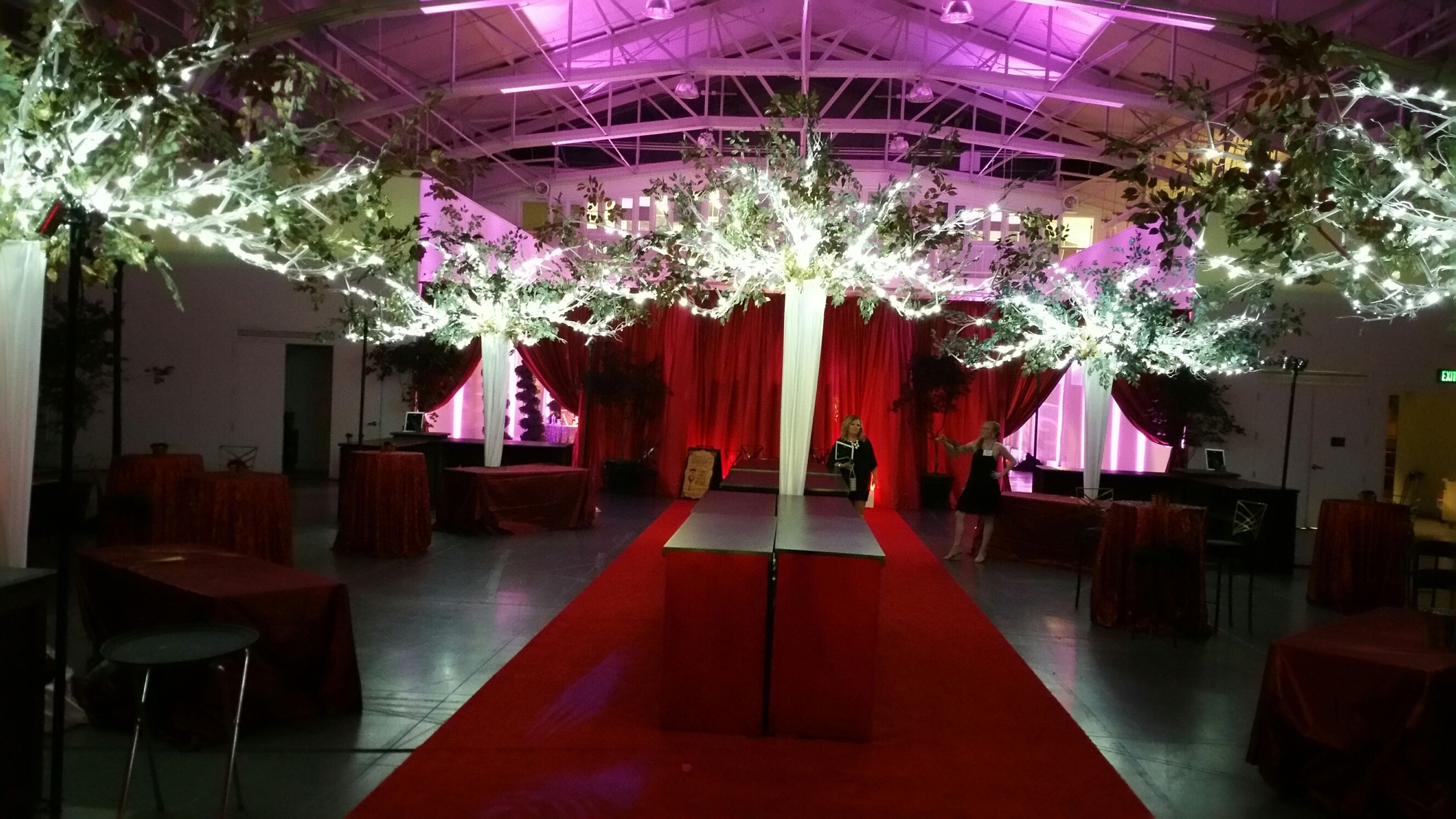 Cover photo of Sculptree