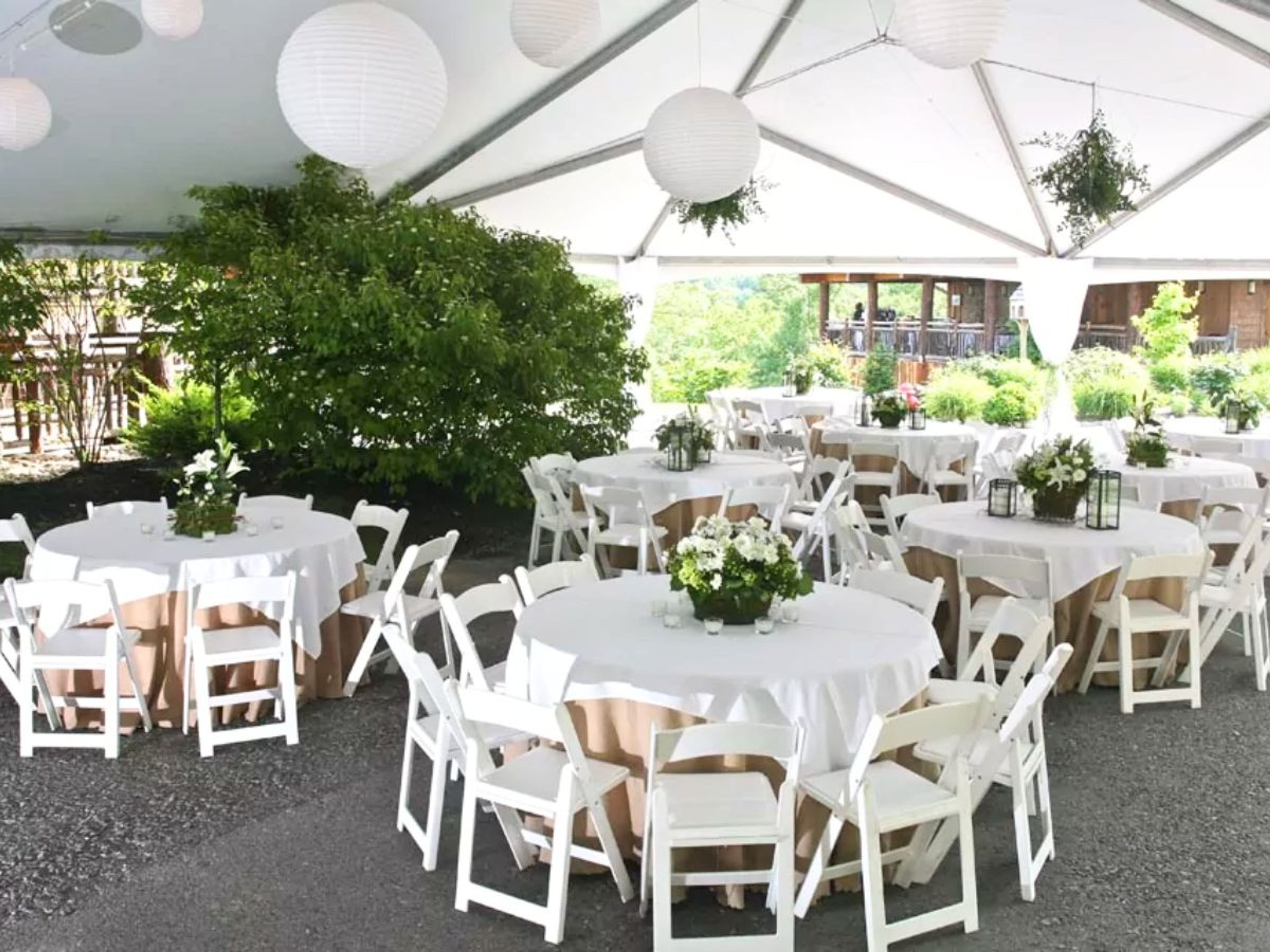 Cover photo of Central Florida Event Rentals