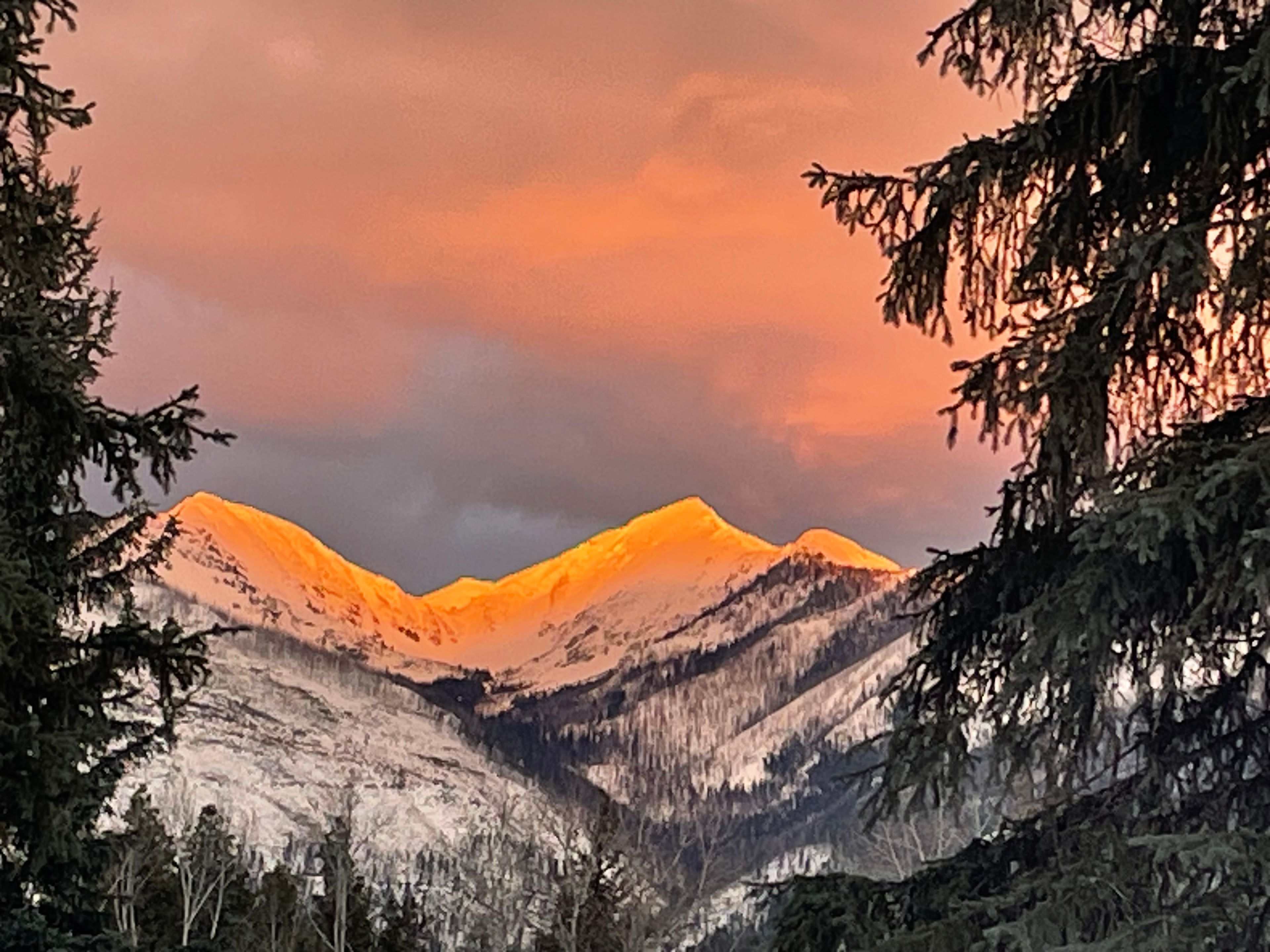 Cover photo of The River House Wedding & Event Venue