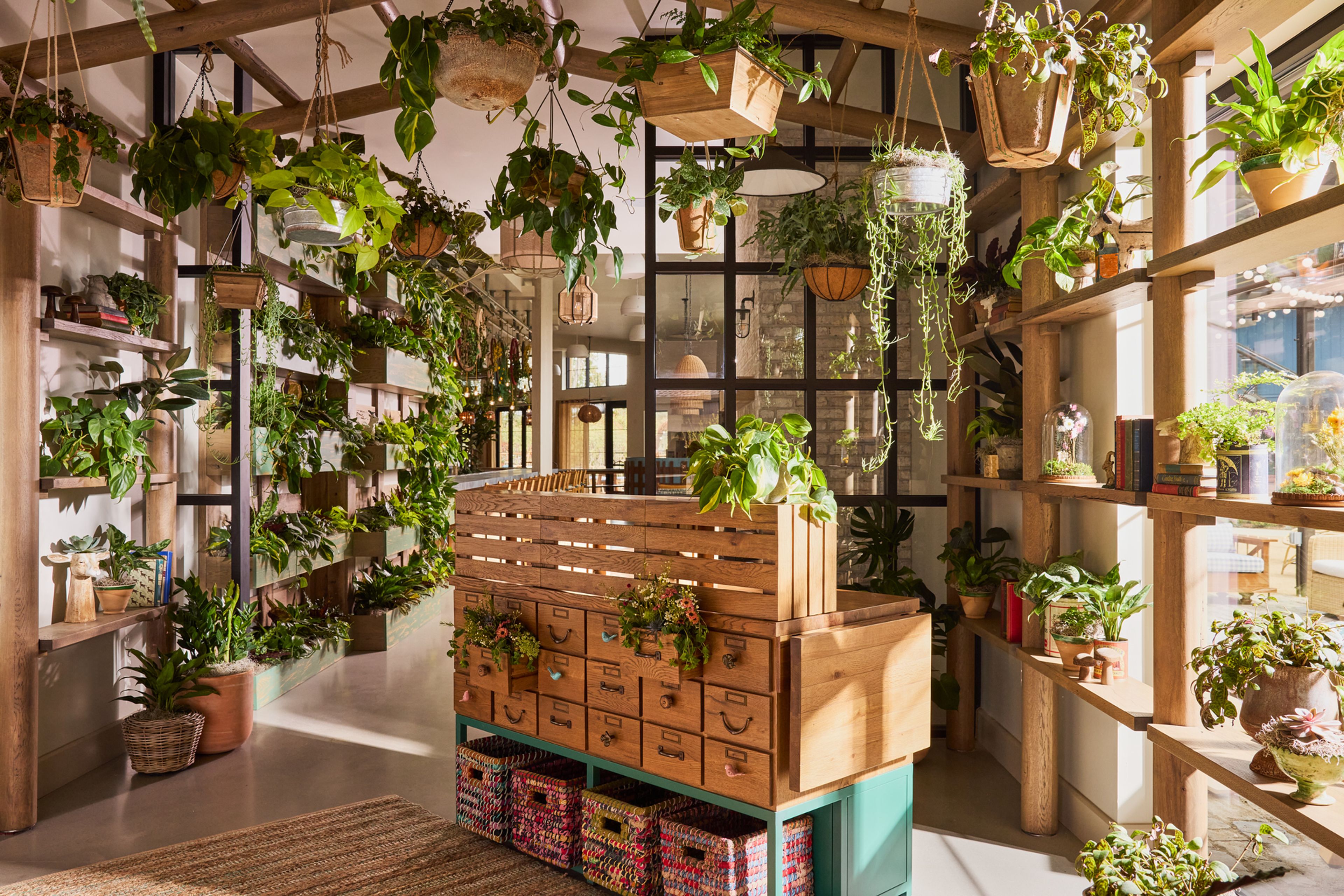 Cover photo of Treehouse Hotel Silicon Valley