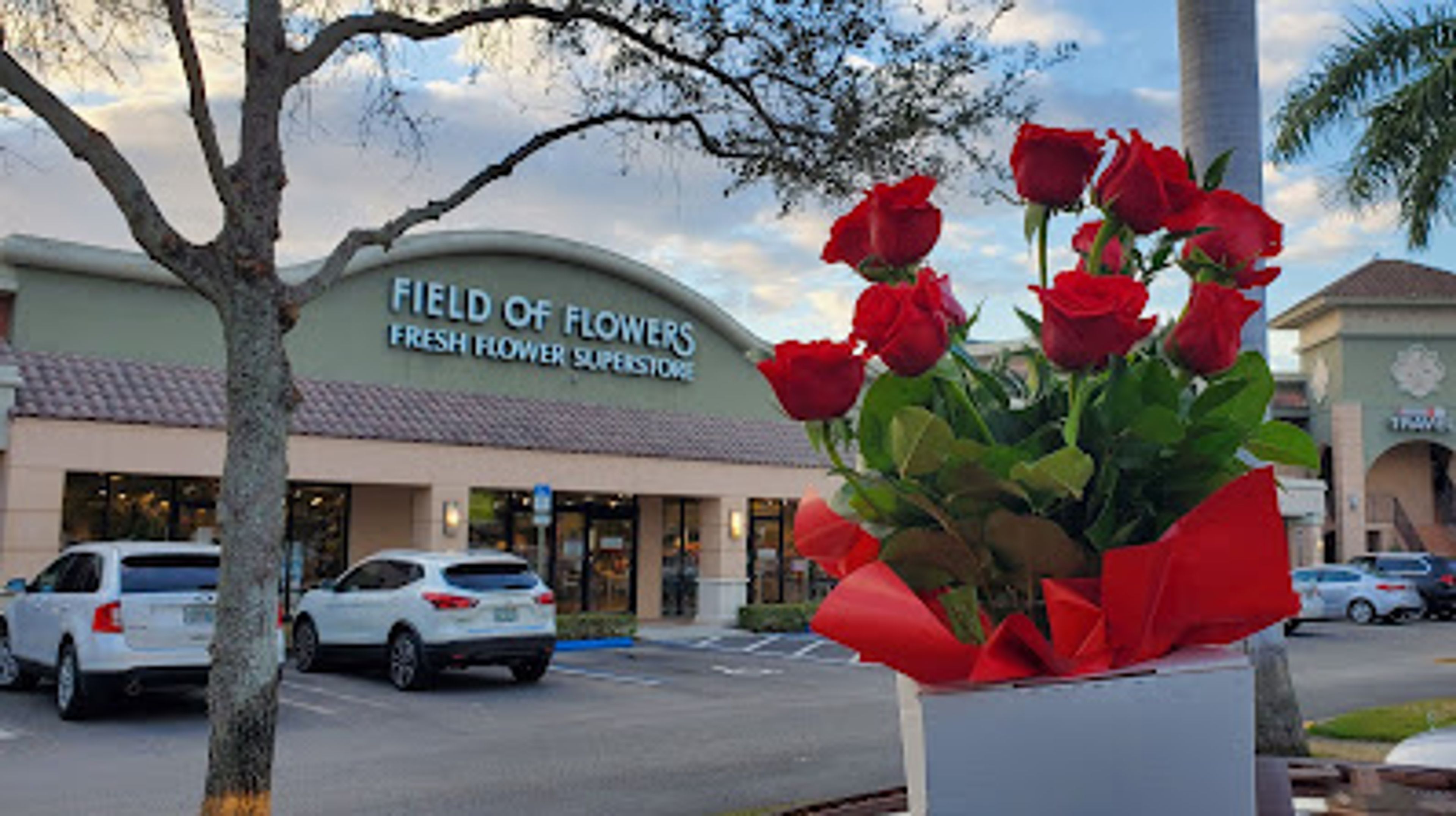 Cover photo of Field of Flowers