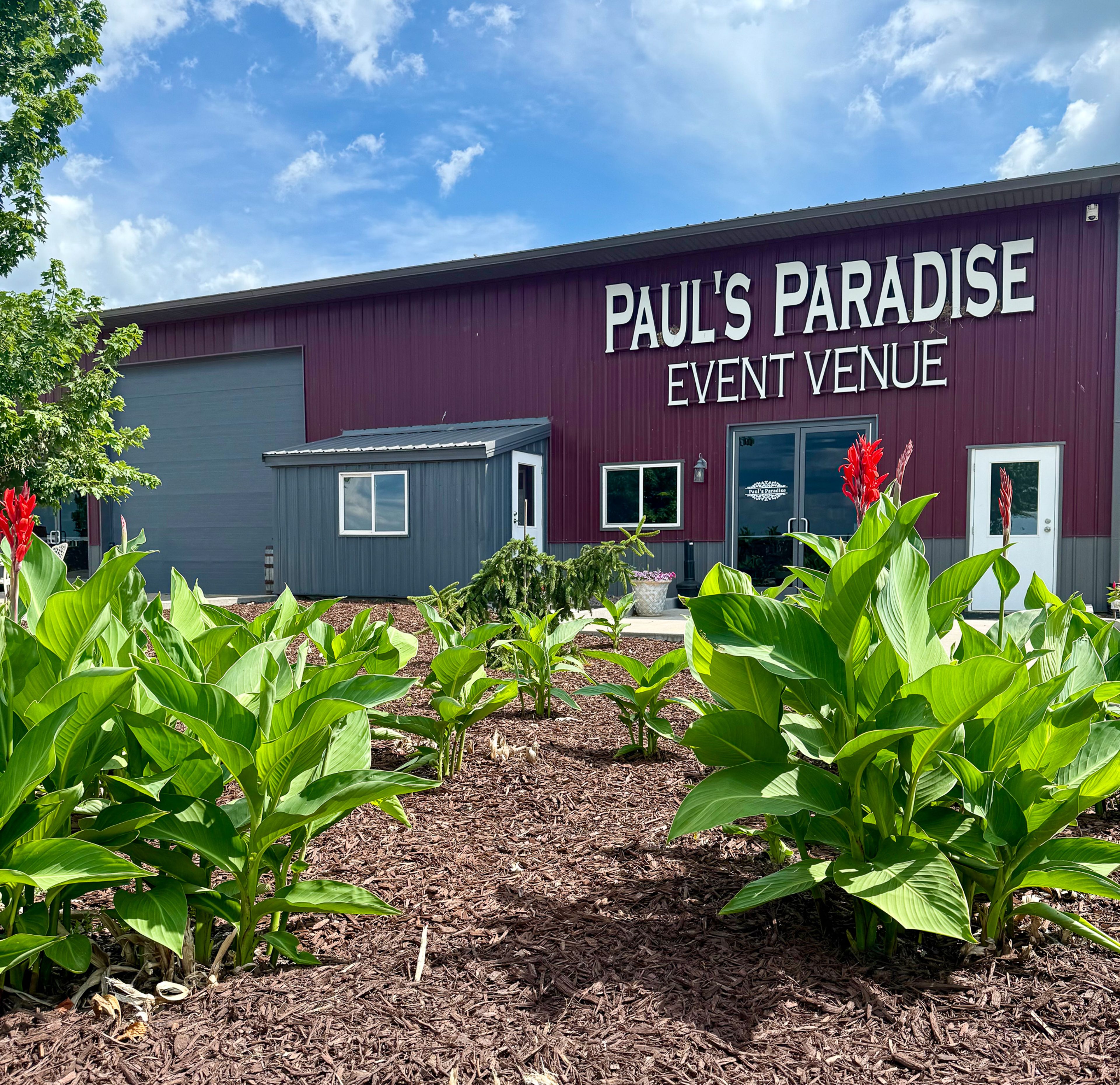 Cover photo of Paul's Paradise