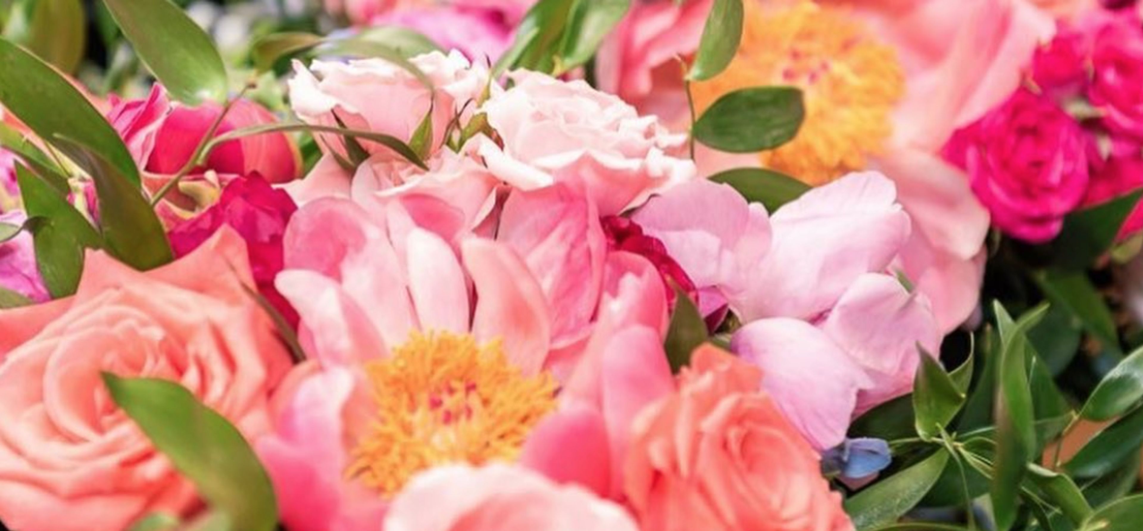 Cover photo of Luxe + Bloom