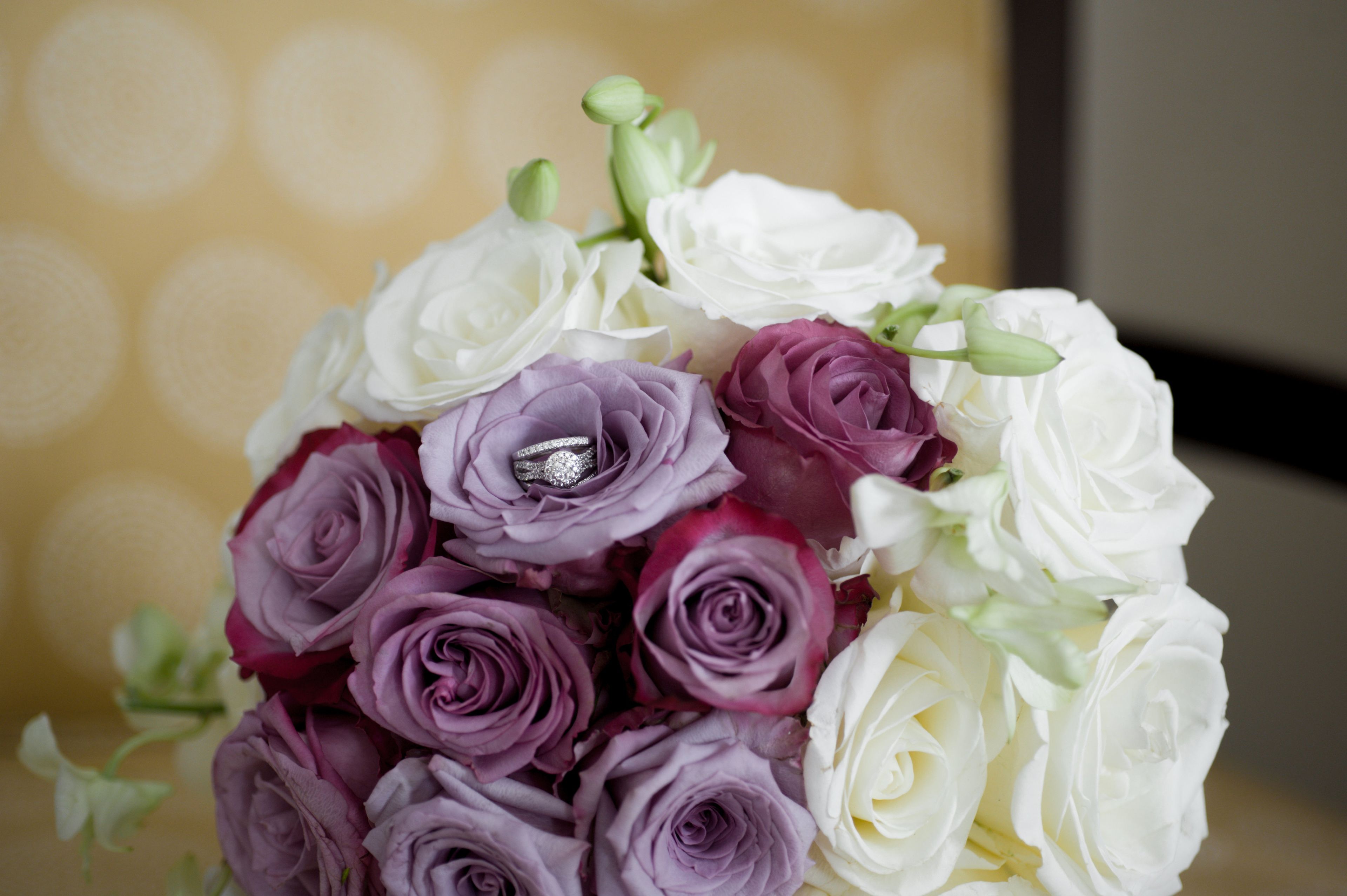 Cover photo of Clau Photography