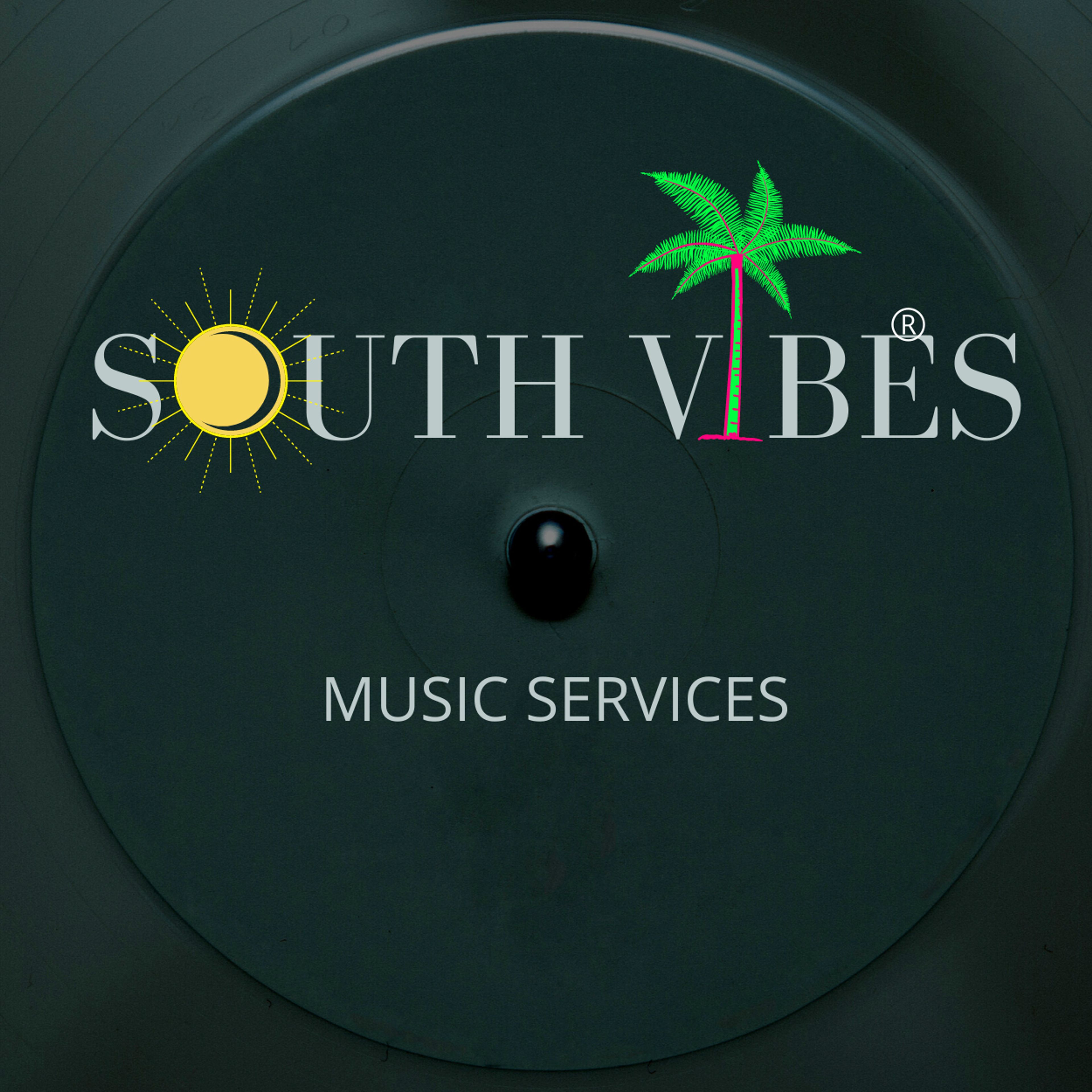 Cover photo of south Vibes Entertainment