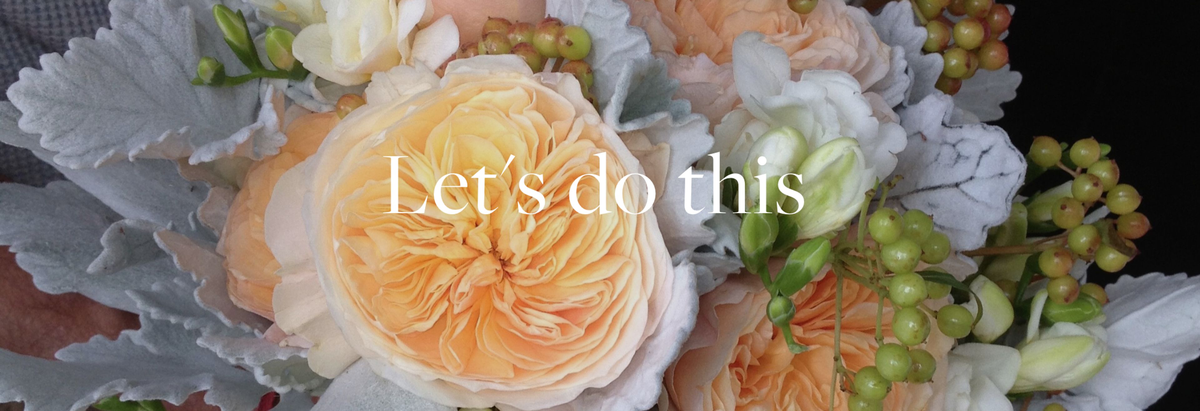 Cover photo of Brenton Wolf