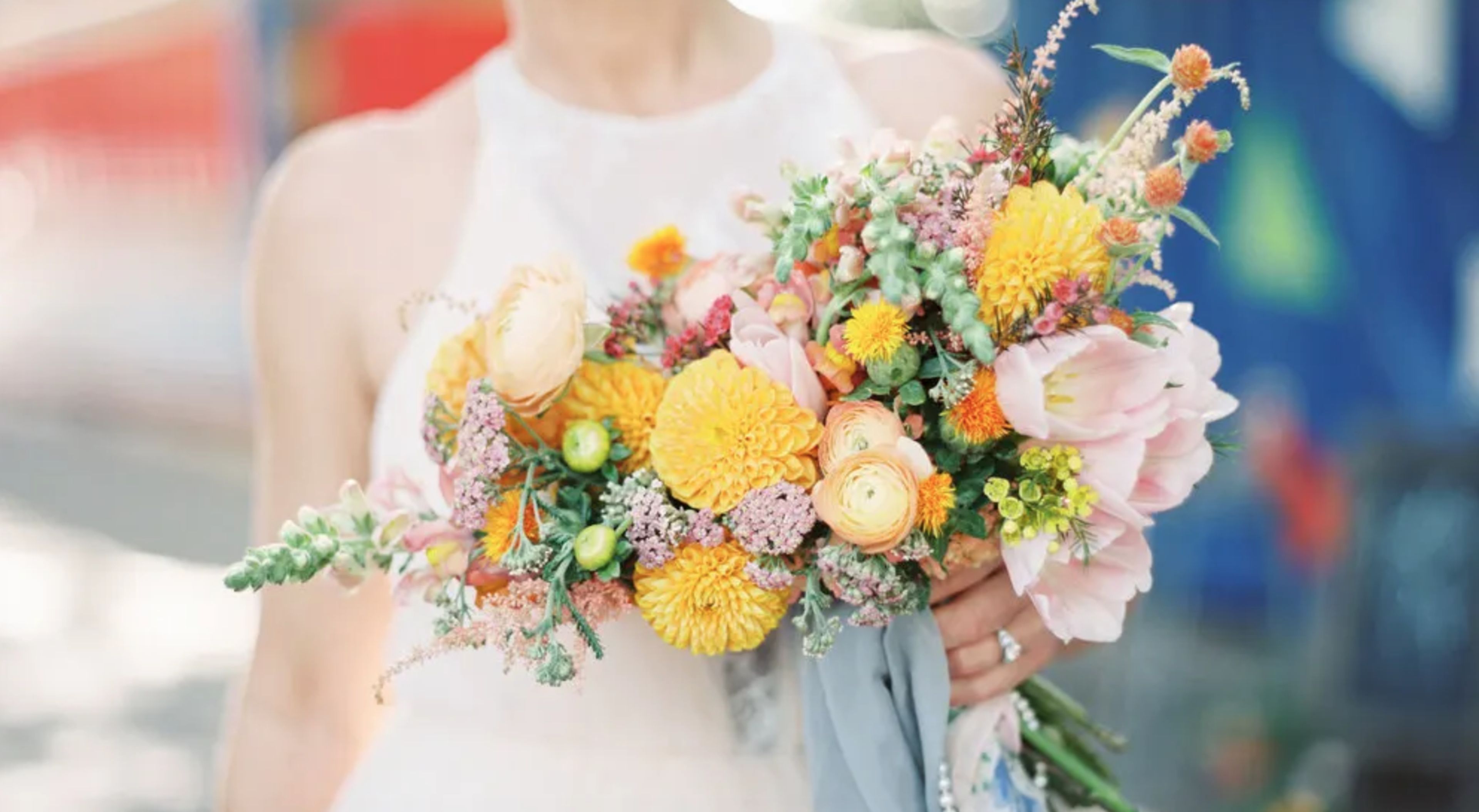 Cover photo of Lizzie Bee's