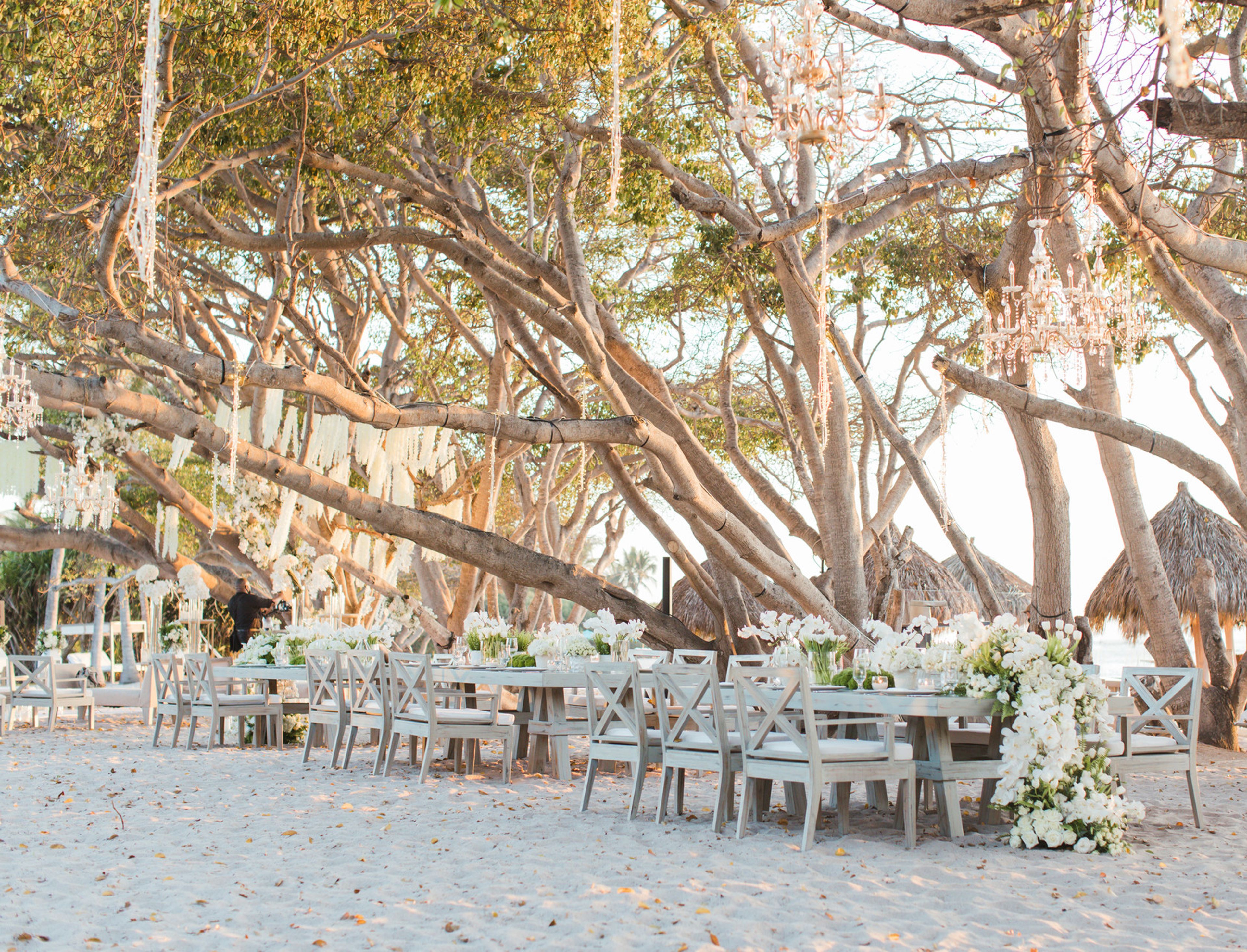 Cover photo of Four Seasons Resort Punta Mita