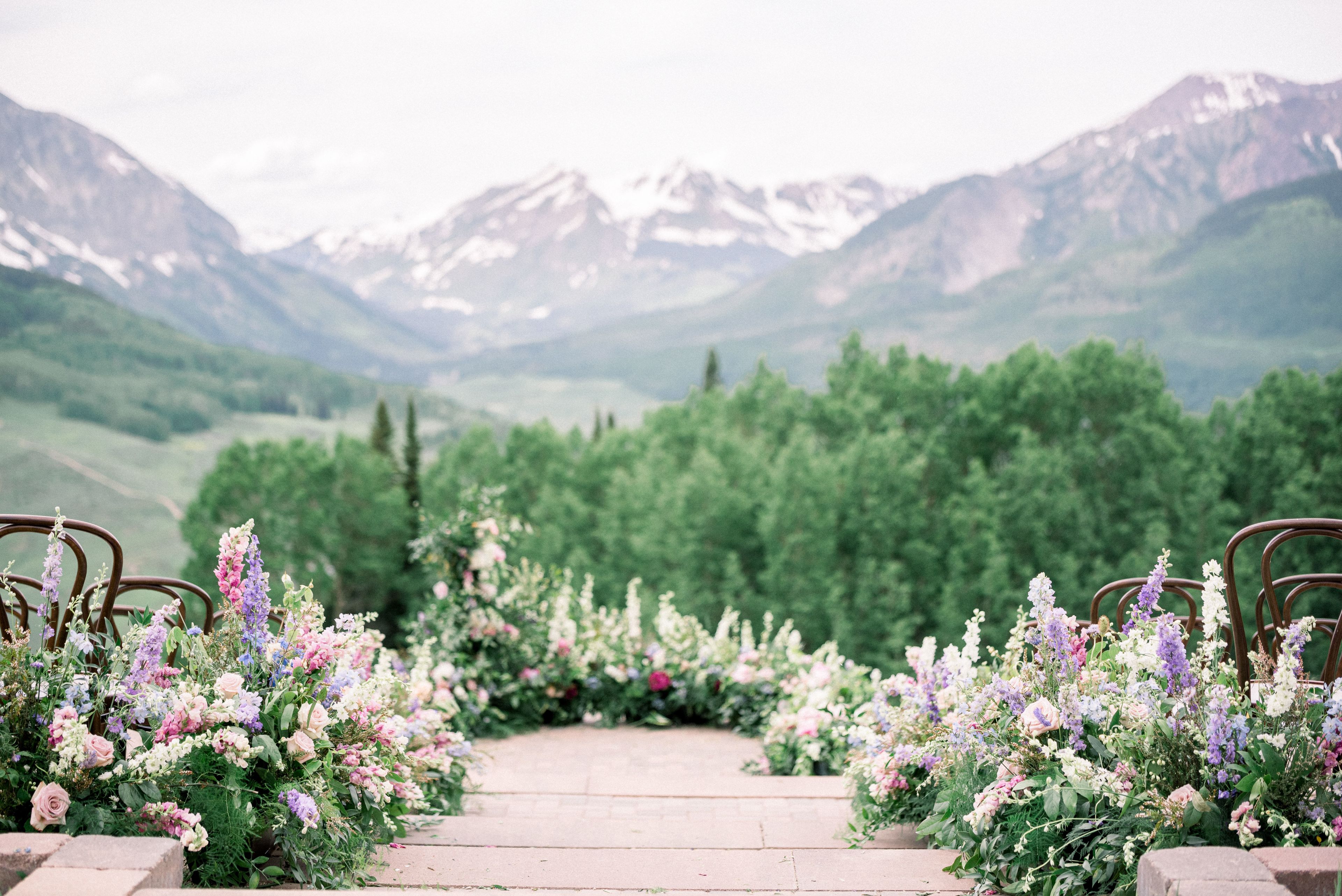 Cover photo of Dahlia Floral