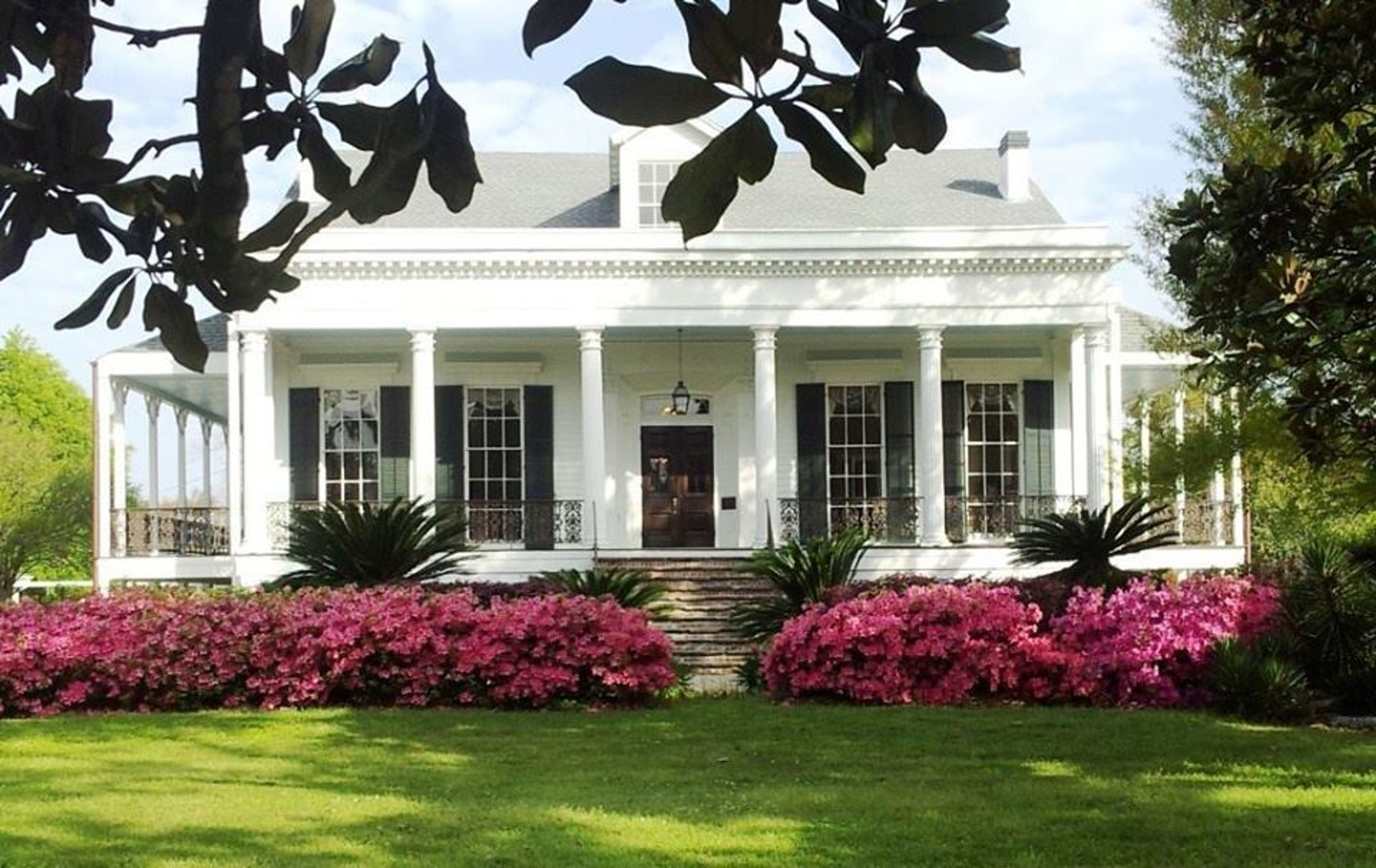 Cover photo of Whitehall Plantation