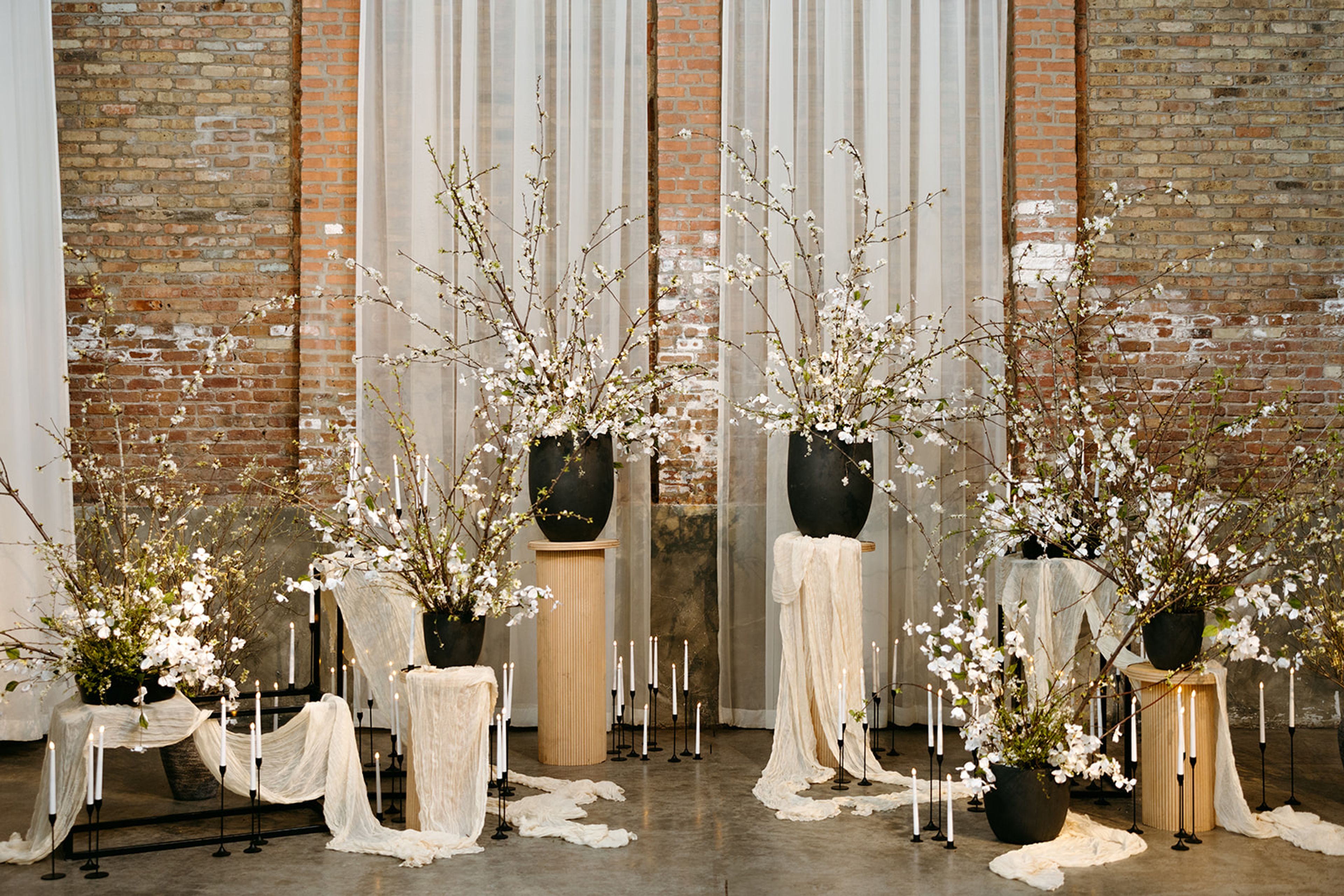 Cover photo of Everlie & Co.