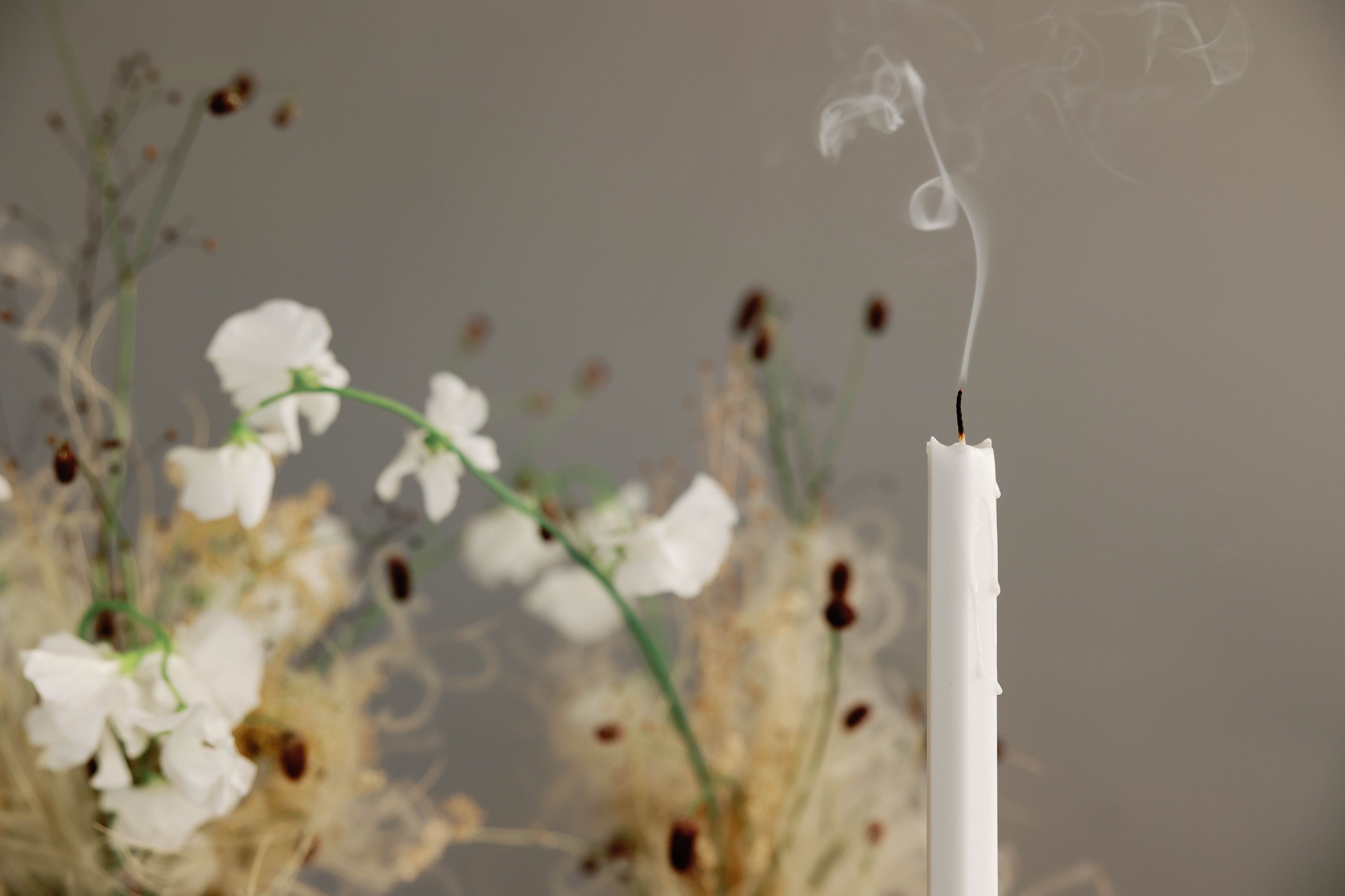 Cover photo of Plume Event Co.