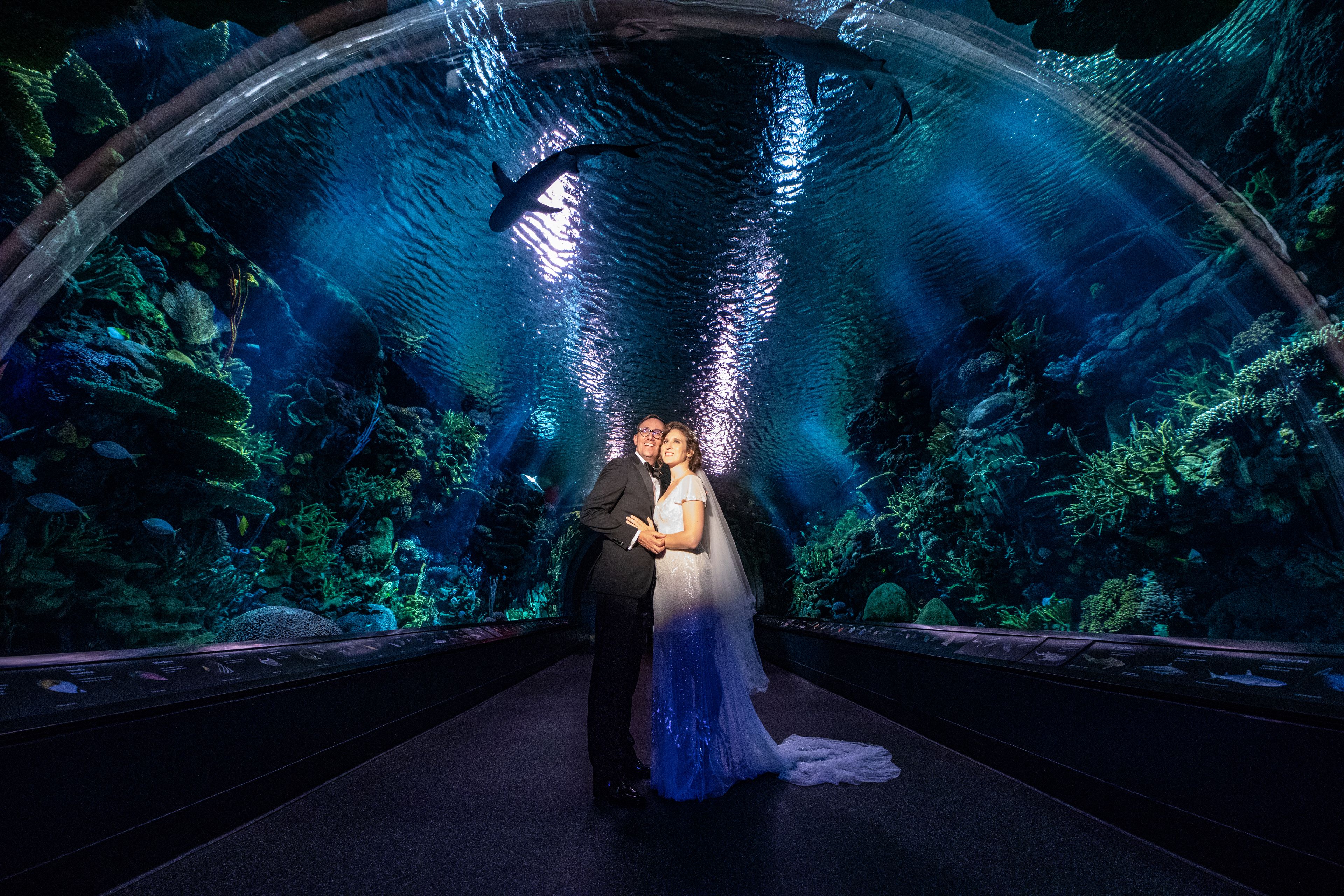 Cover photo of New York Aquarium