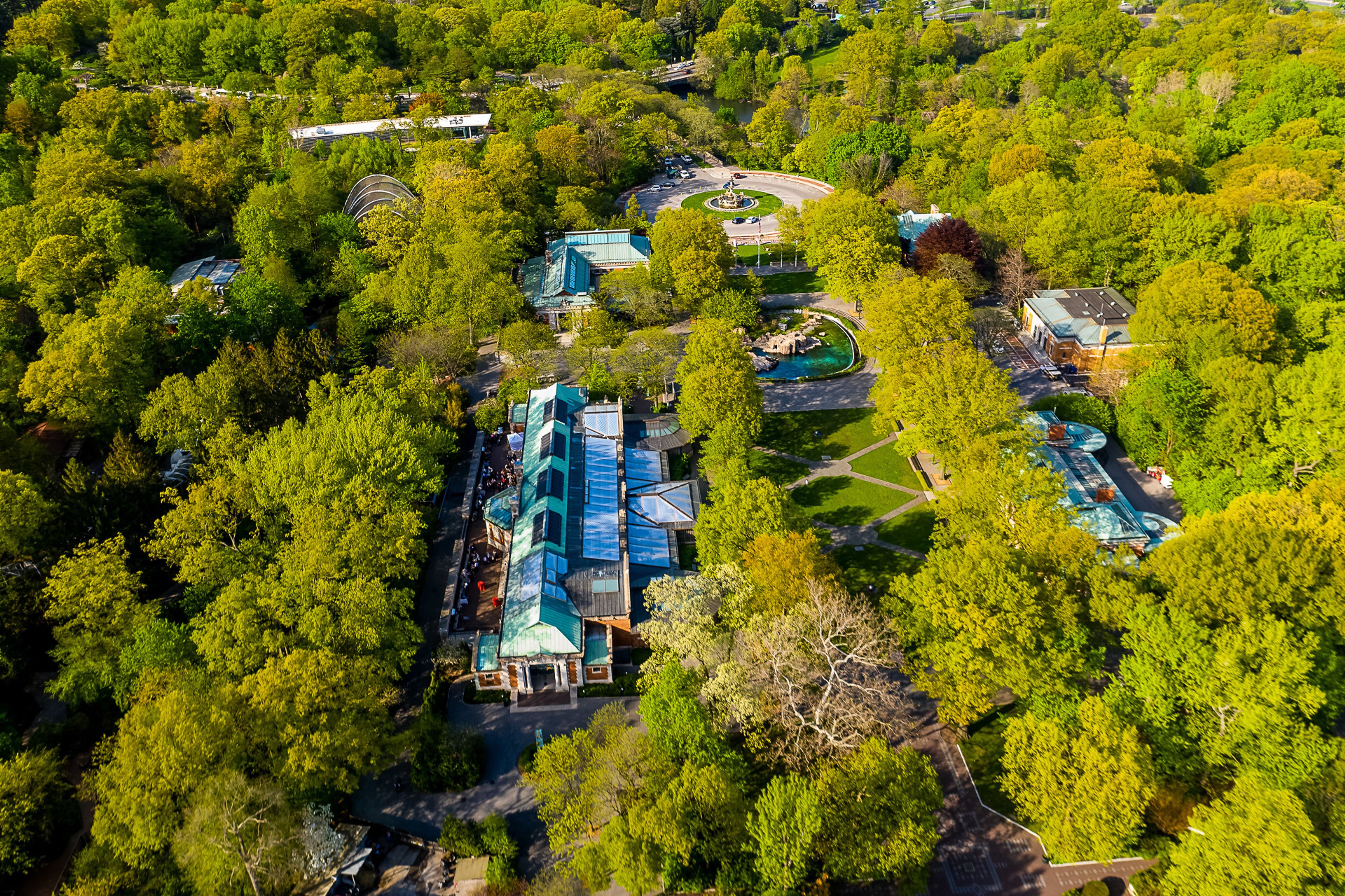 Cover photo of Bronx Zoo