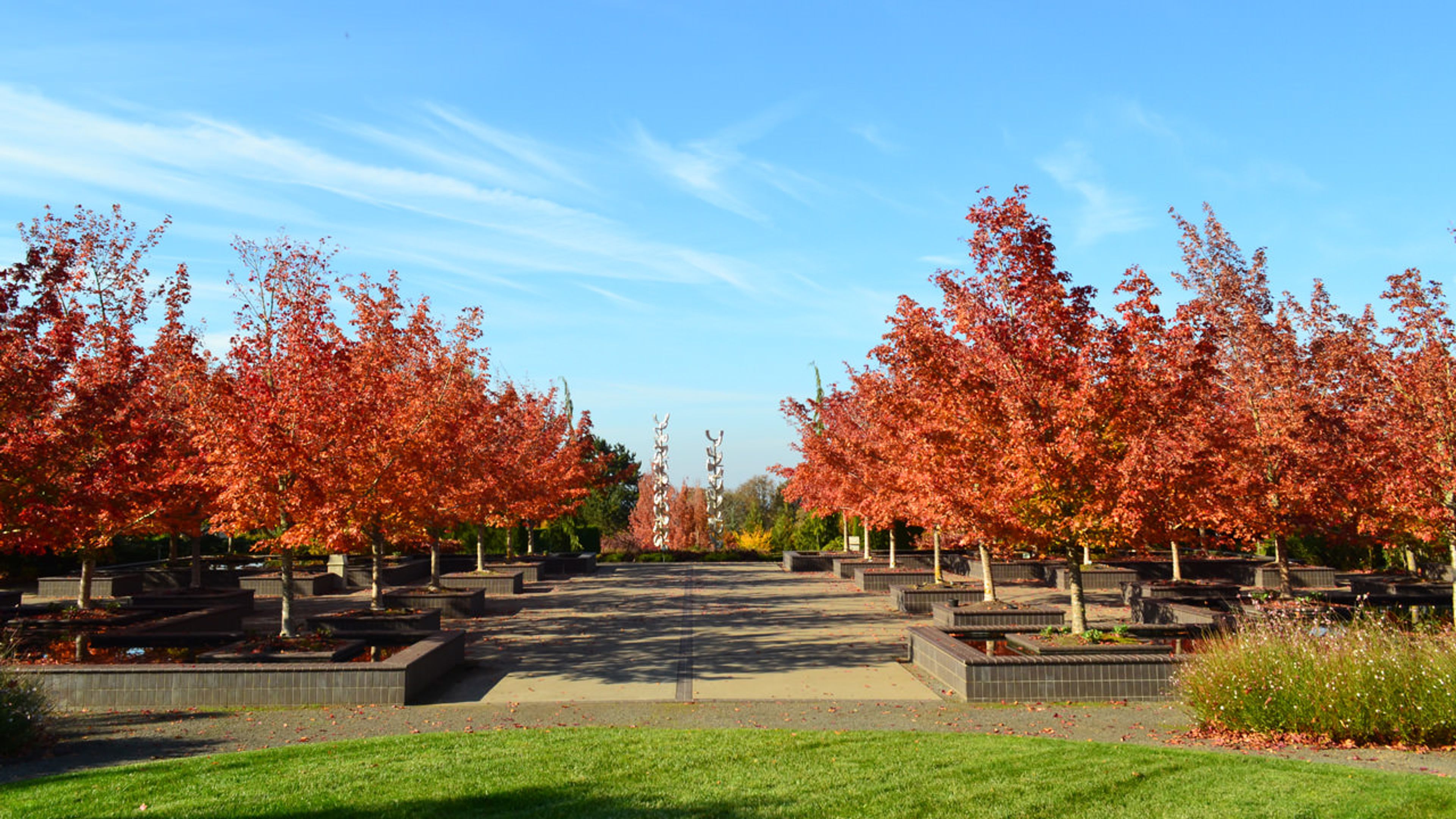 Featured photo from Oregon Garden