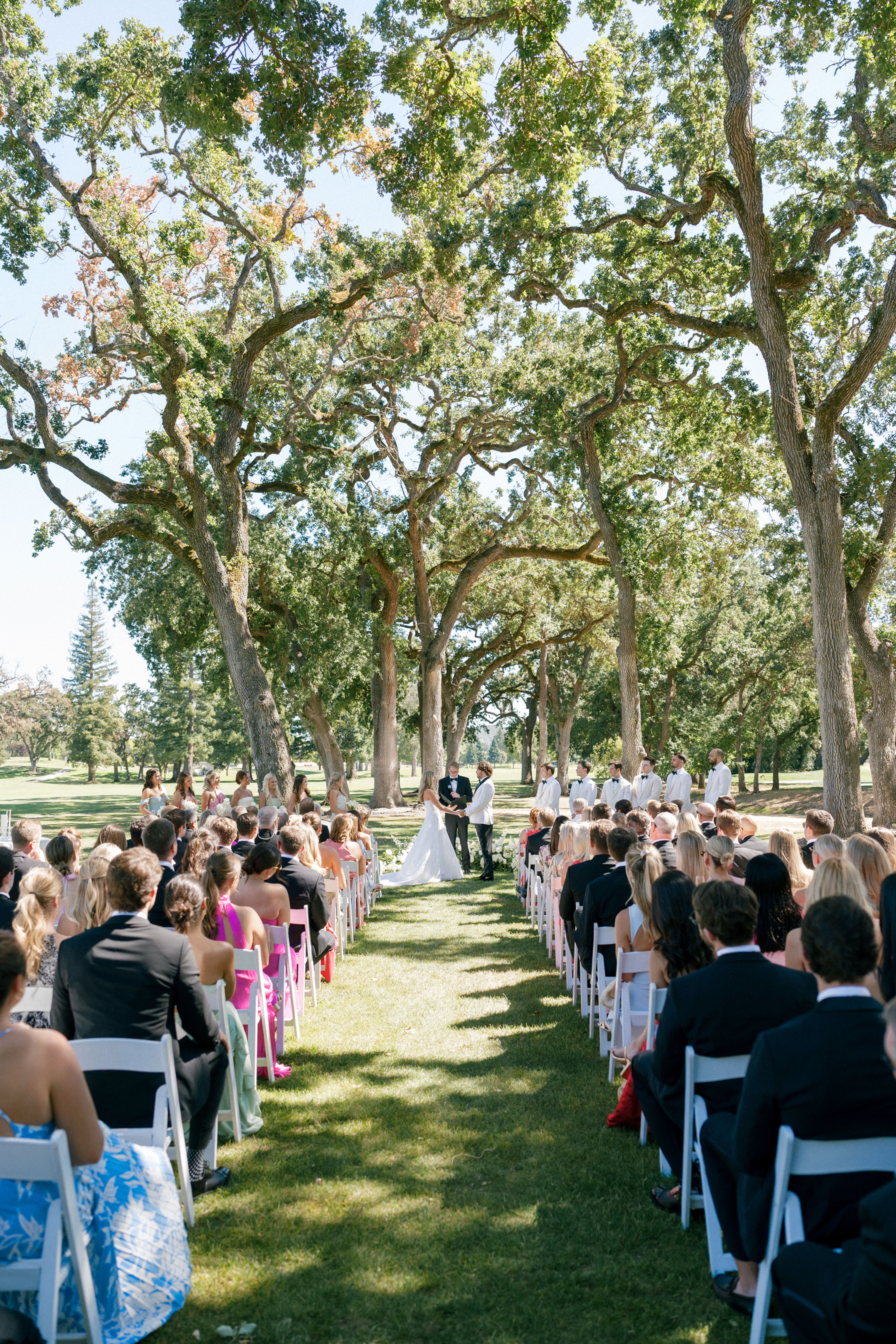 Cover photo of Poppy Planning