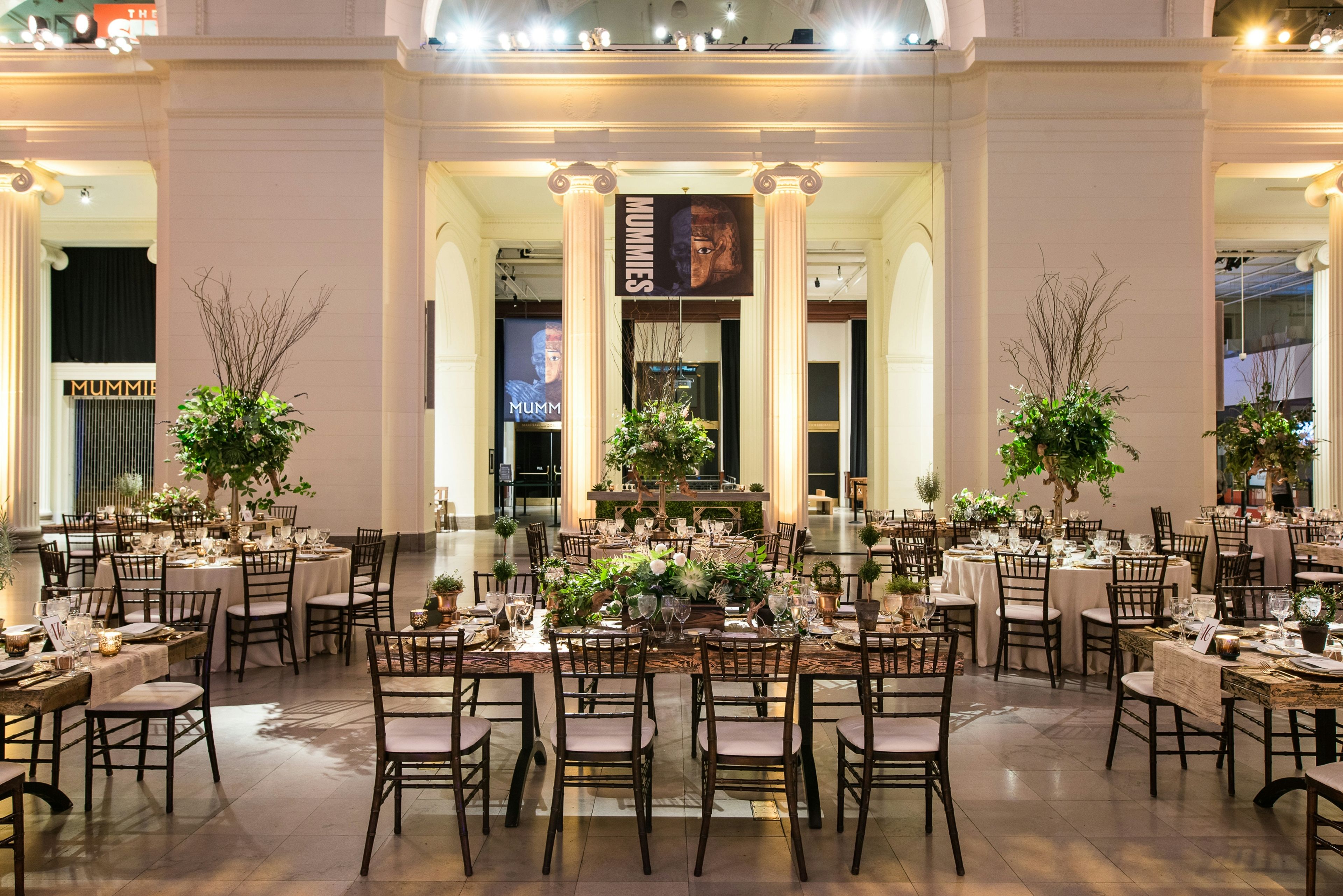 Cover photo of Field Museum