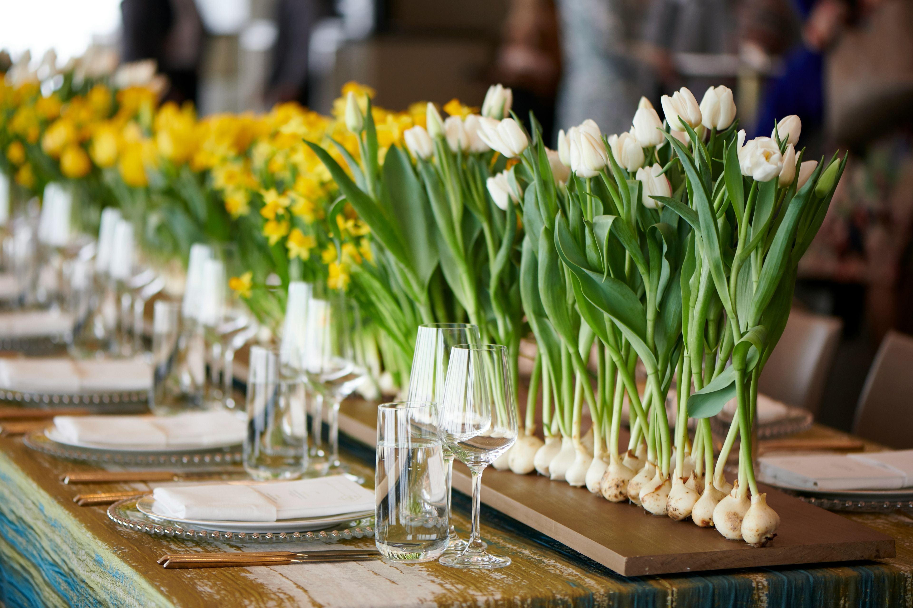 Cover photo of BOTANICA INC